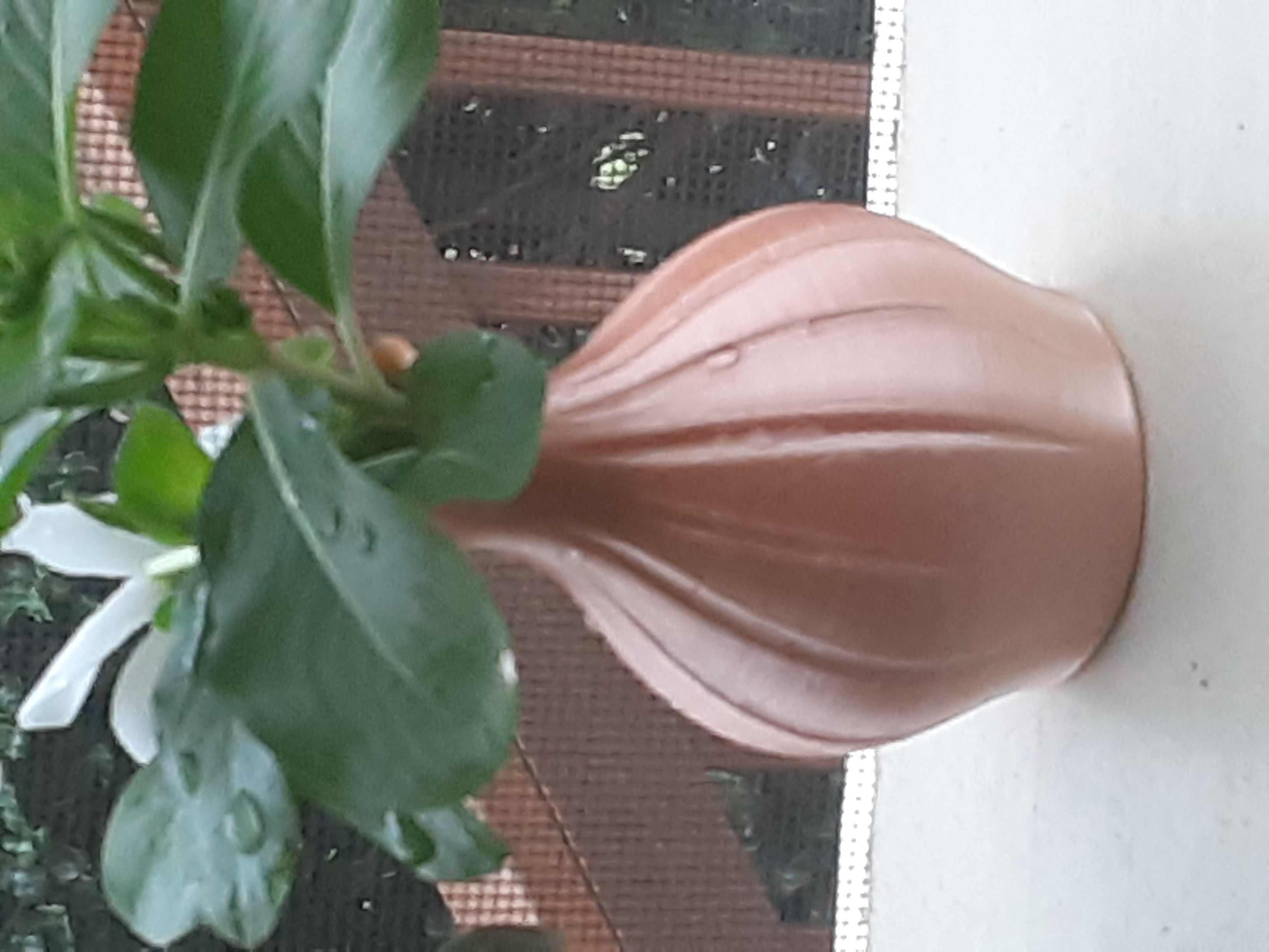 Bud vase with Fusion 360 model