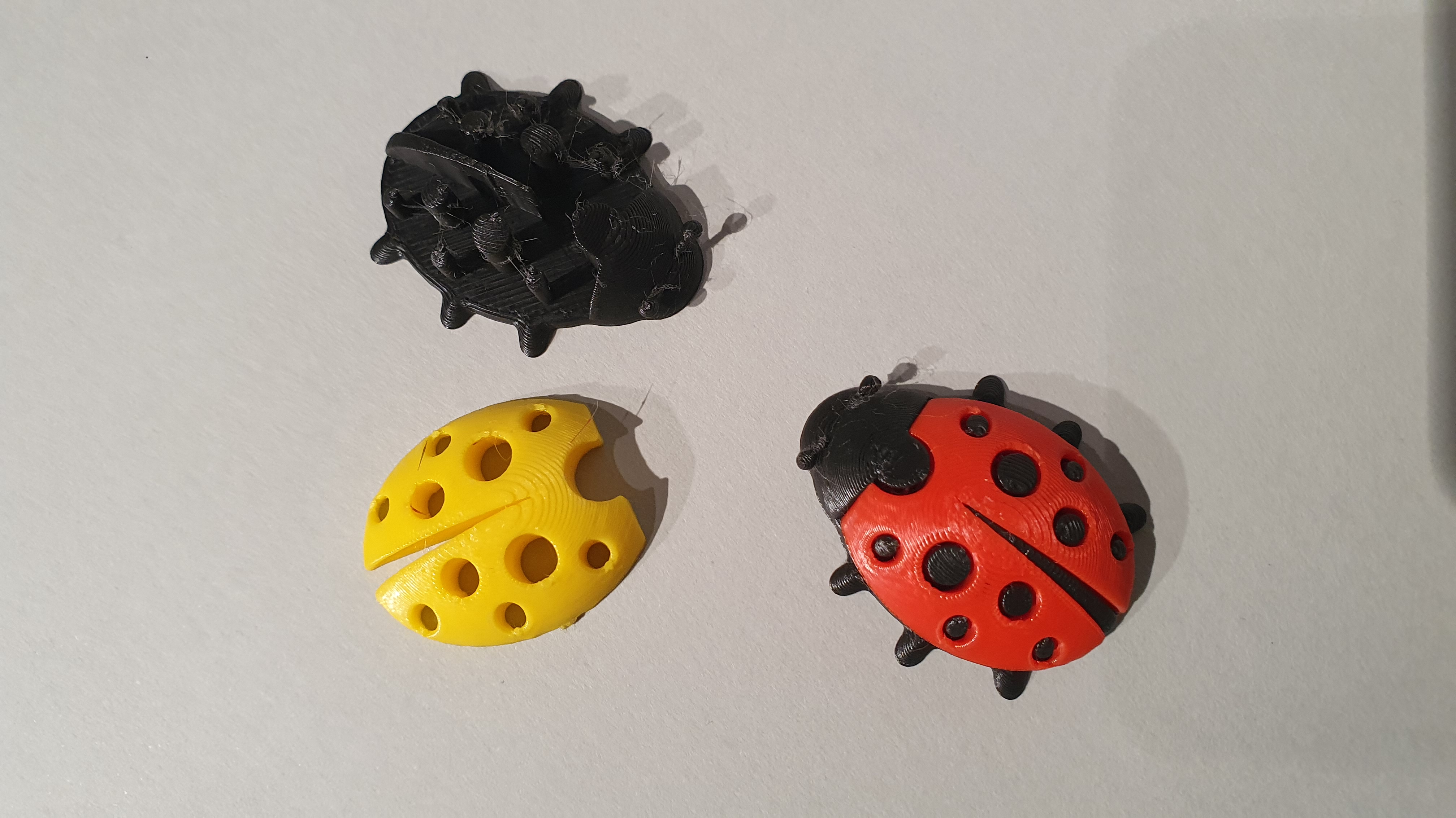Miniatura 3 do modelo 3D Ladybug / Beruška