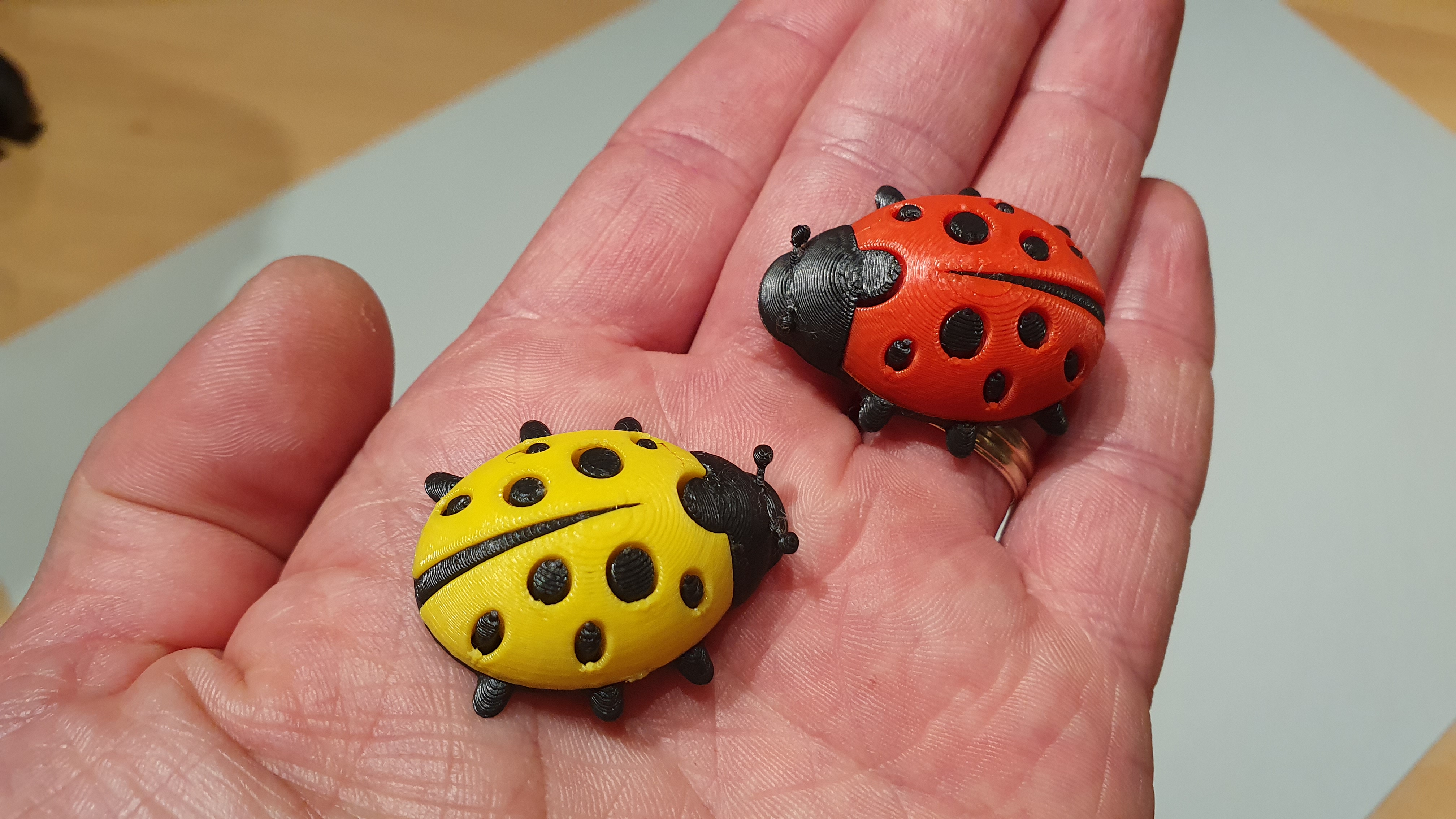 Miniatura 4 do modelo 3D Ladybug / Beruška
