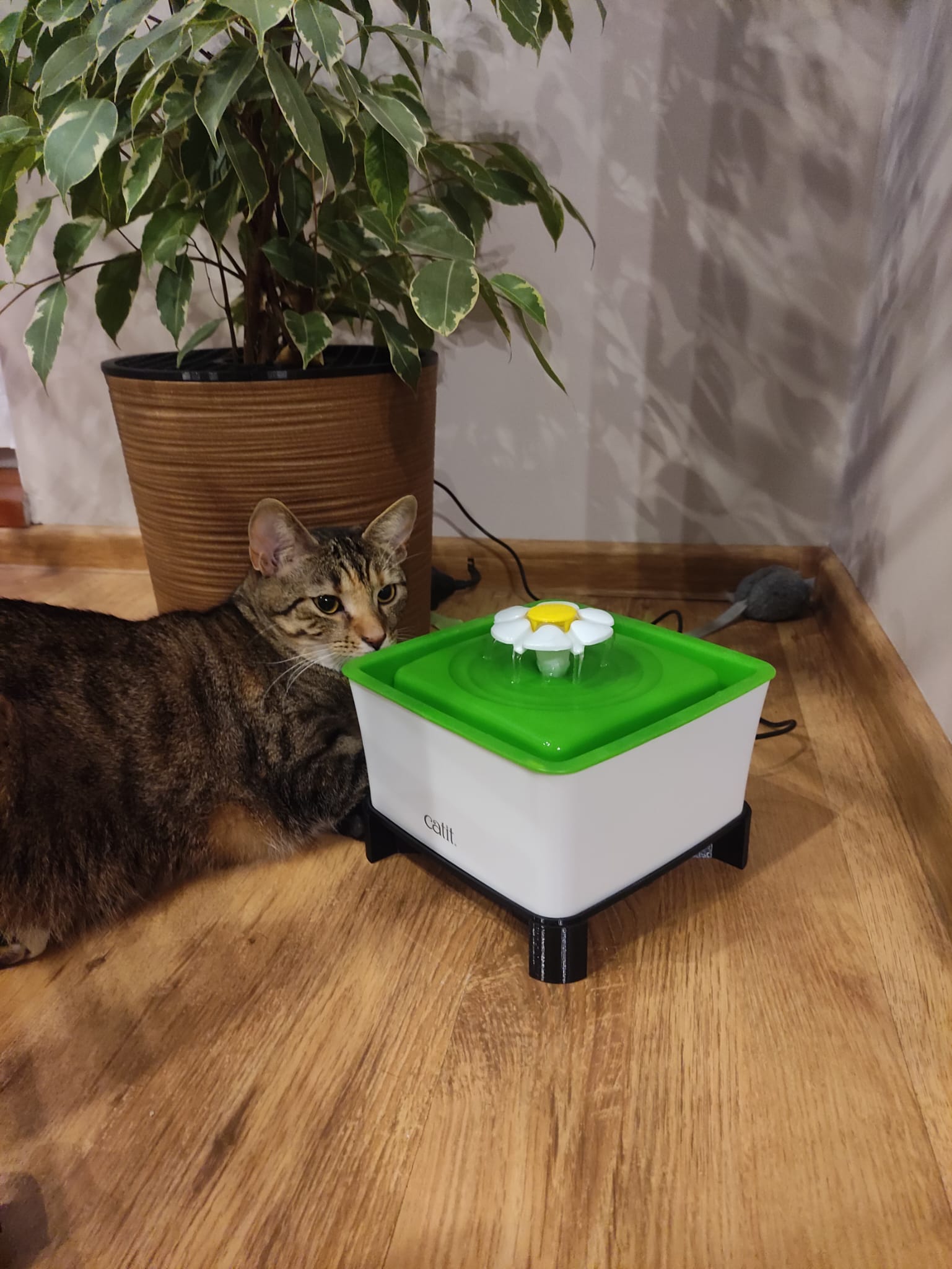 Raiser stand for cat water fountain dispenser or bowl no supports