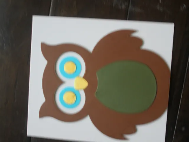 Big Eyed Owl