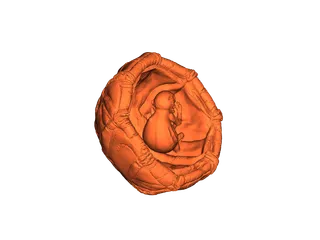 Embryonic Alien in Seed Pod by Peter Farell | Download free STL model ...