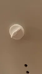 Fancy Nut