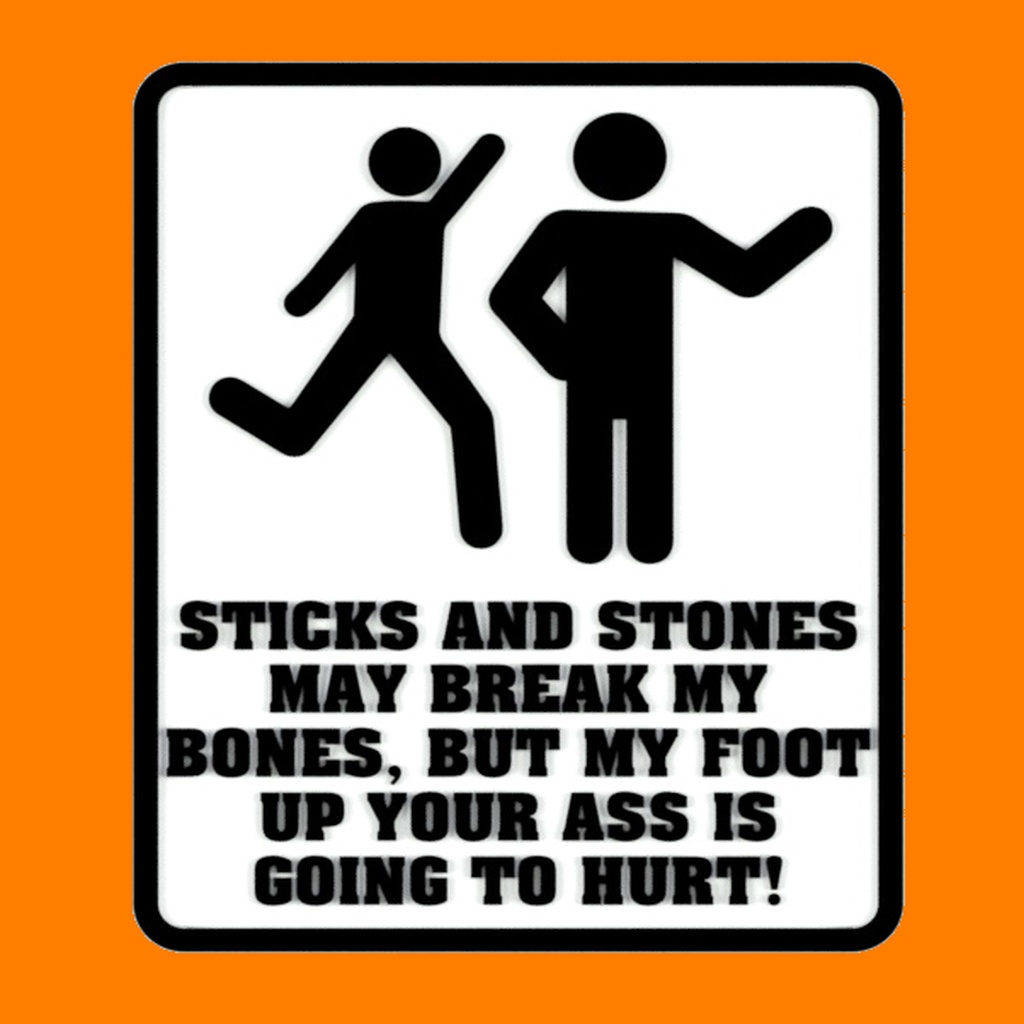 STICKS AND STONES MAY BREAK MY BONES, BUT MY FOOT UP YOUR A$$ IS GOING TO HURT! SIGN