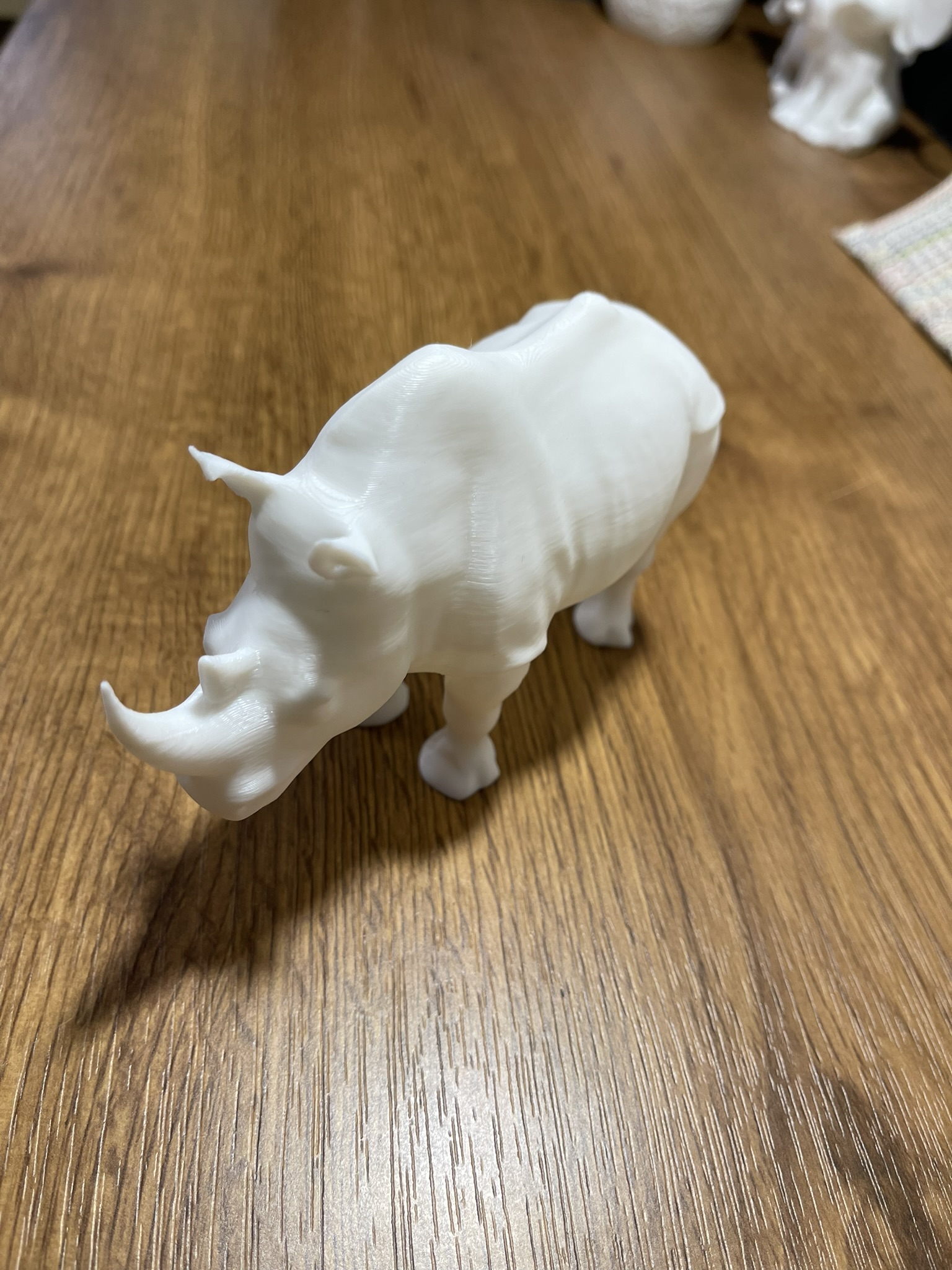 Rhinoceros