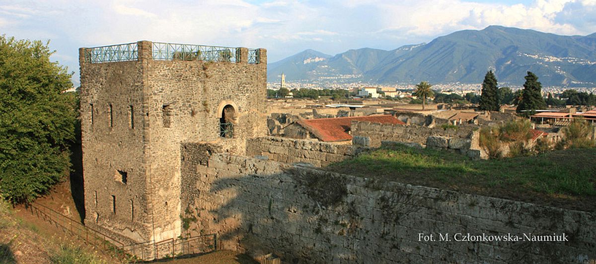 Pompeii walls