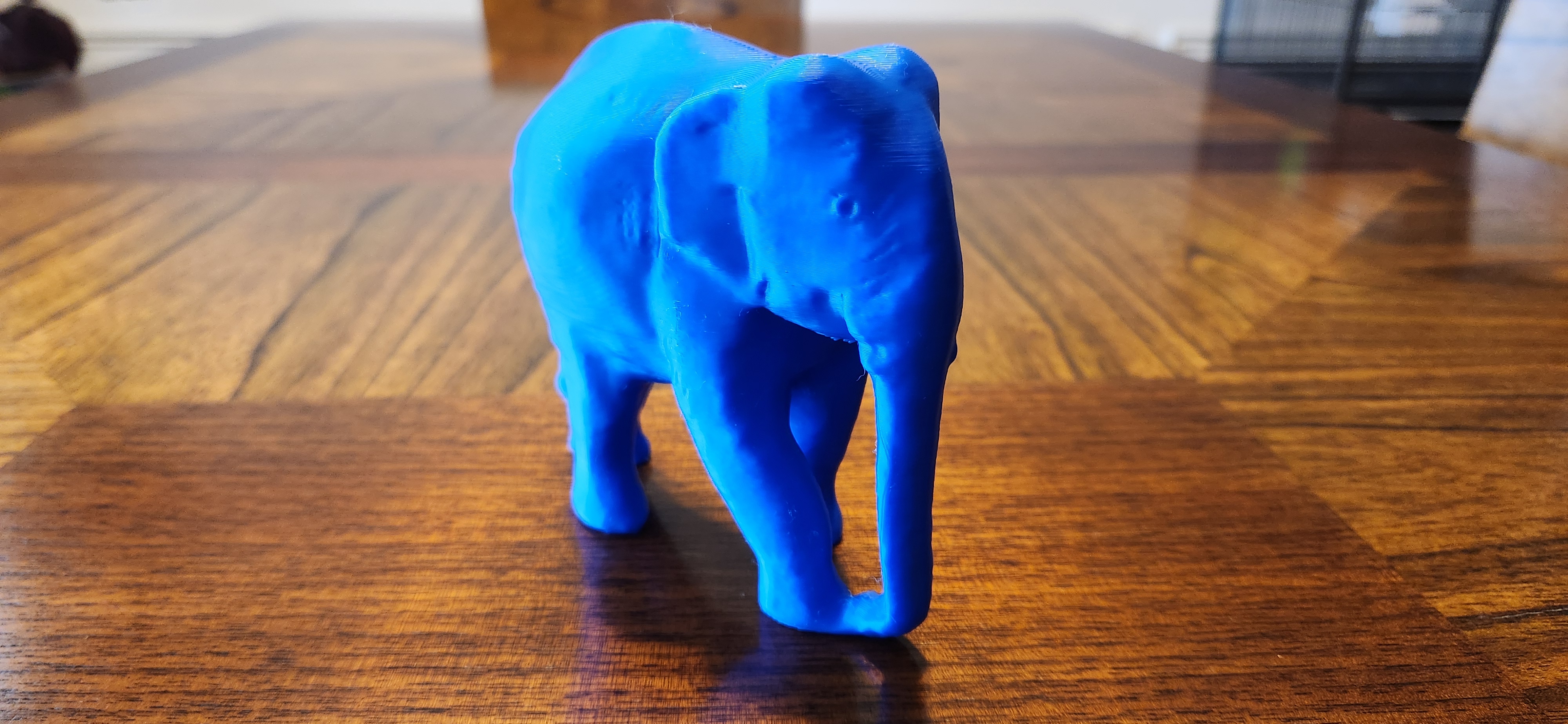 Indian Elephant — thumbnail 2