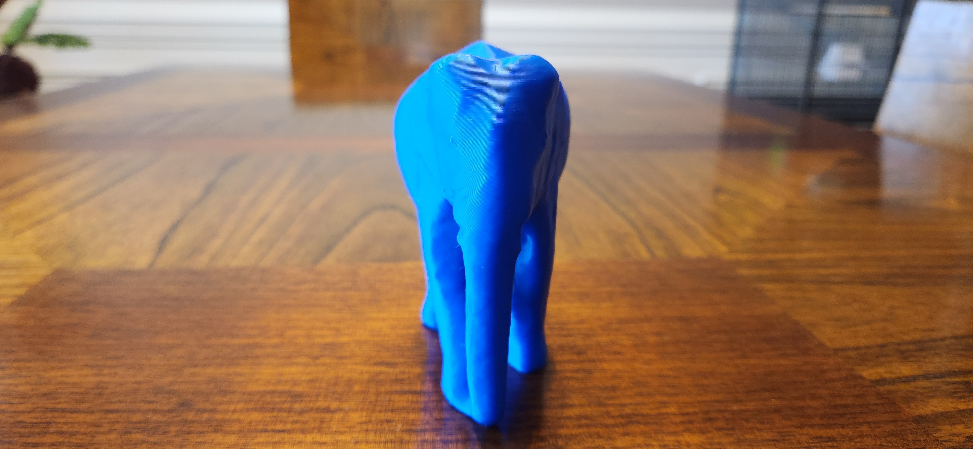 Indian Elephant — thumbnail 3
