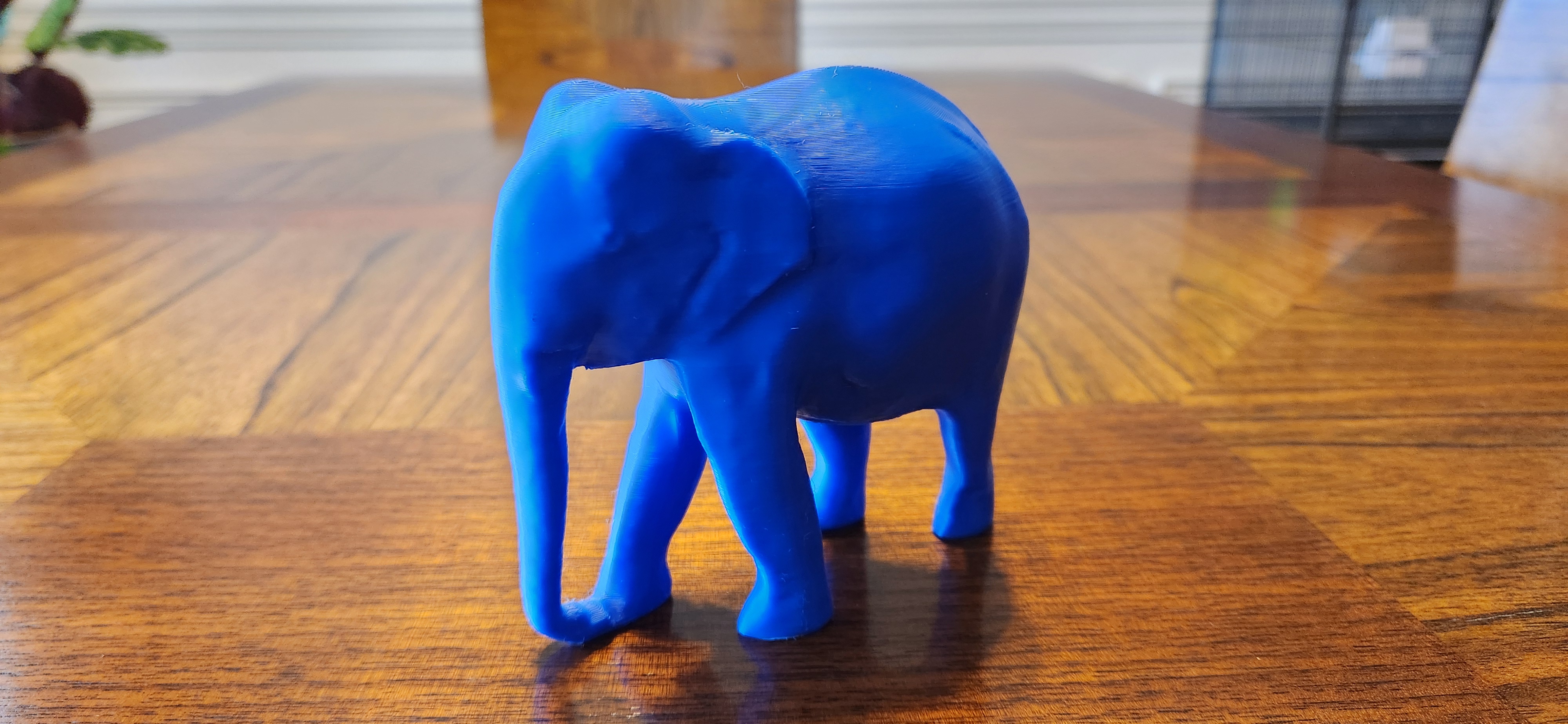 Indian Elephant — thumbnail 5