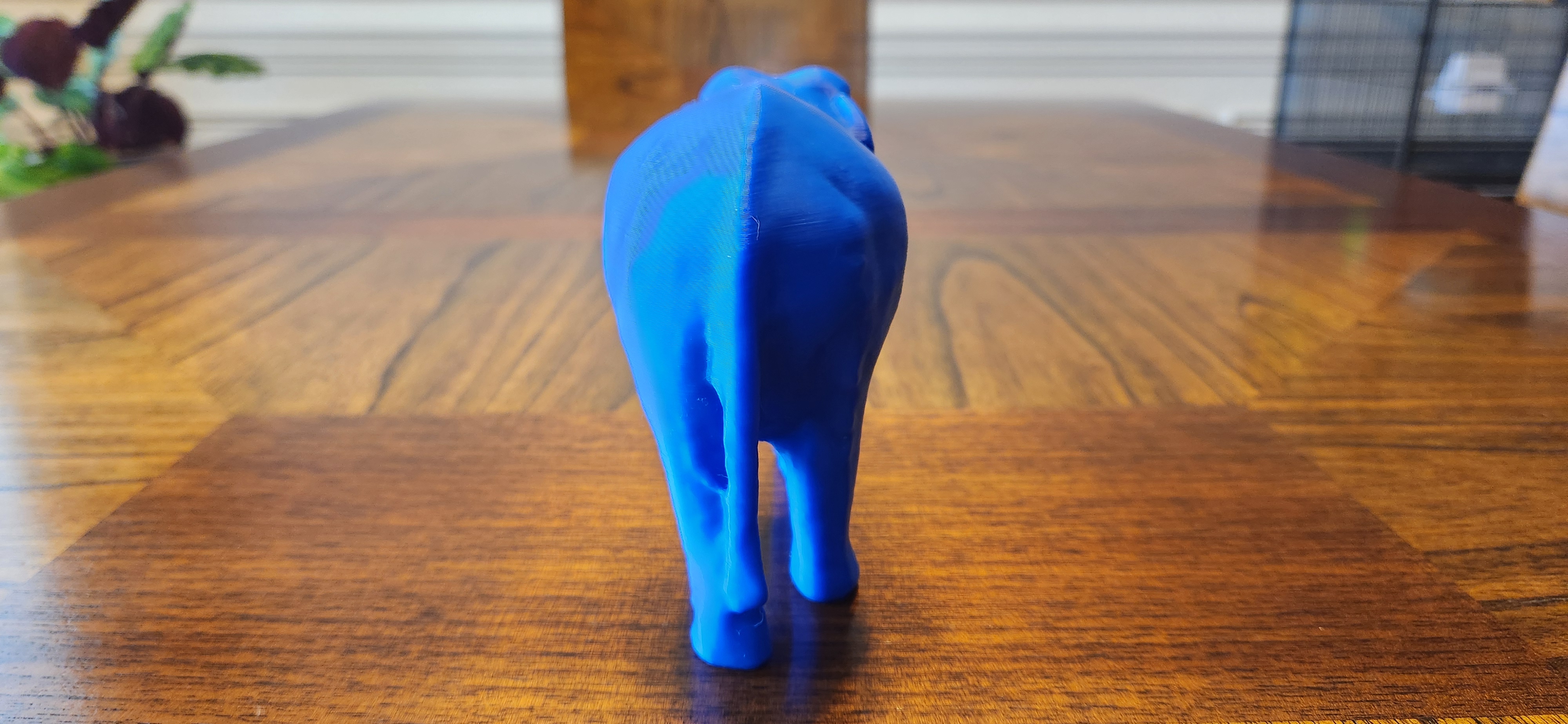 Indian Elephant — thumbnail 6
