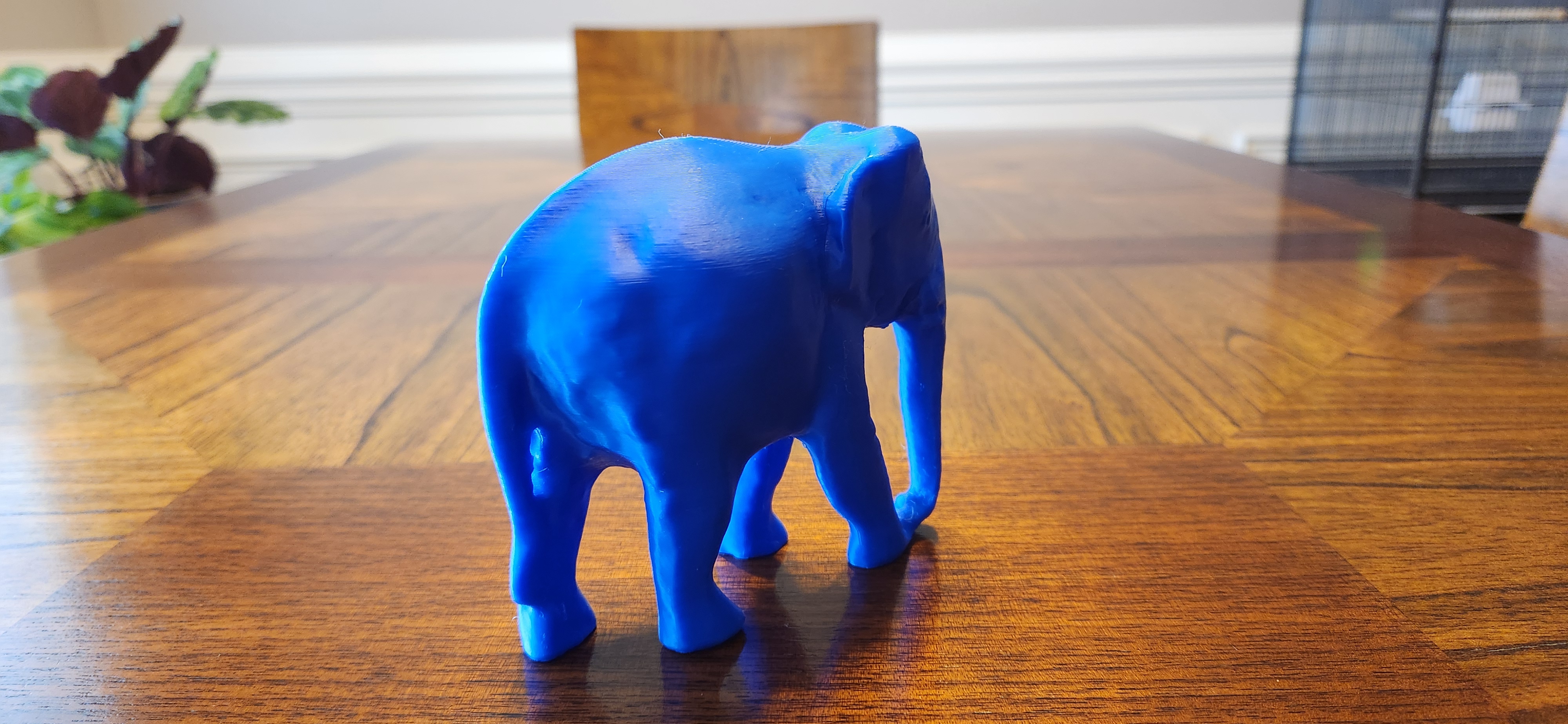 Indian Elephant — thumbnail 7