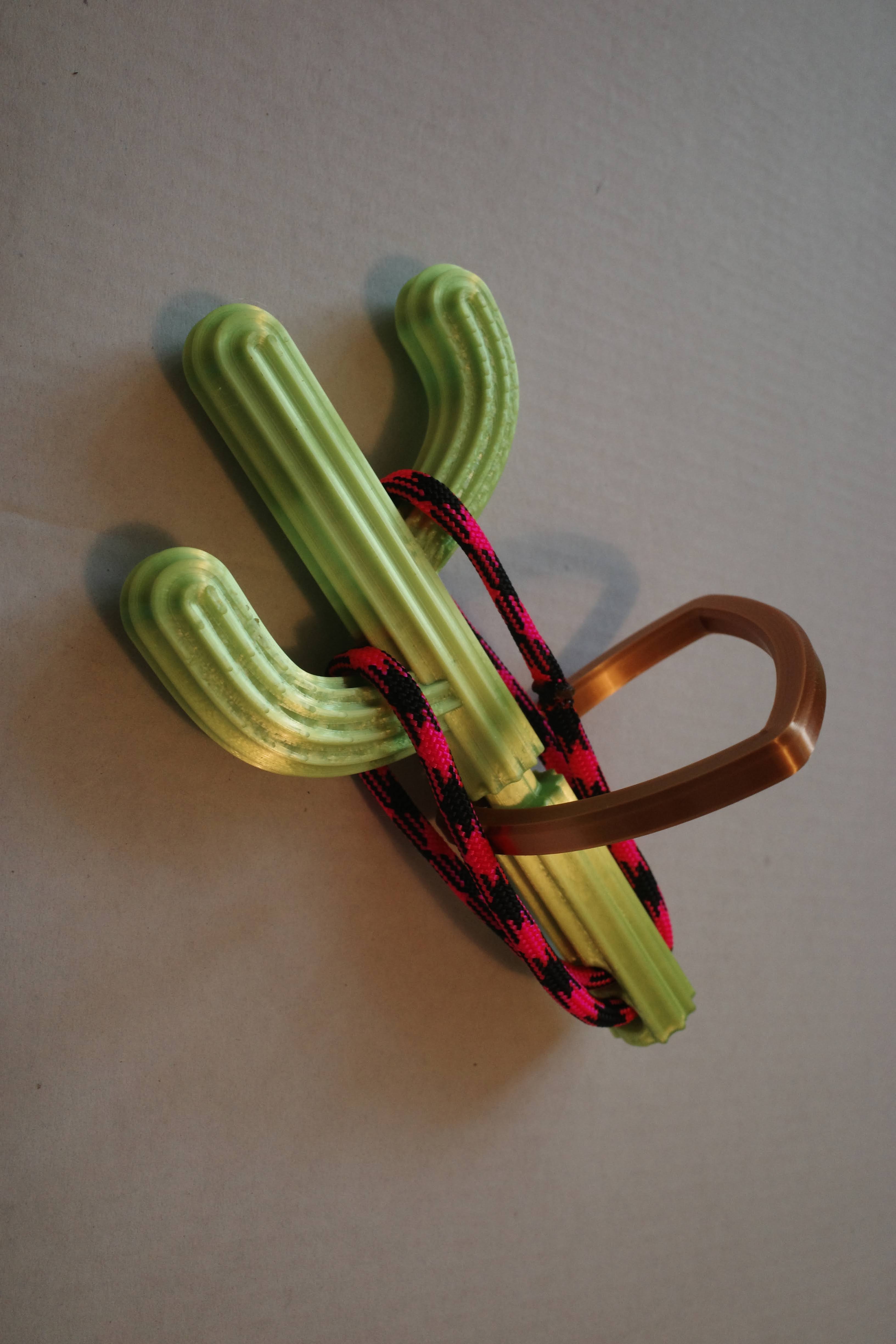 Cactus puzzle — miniatura 5