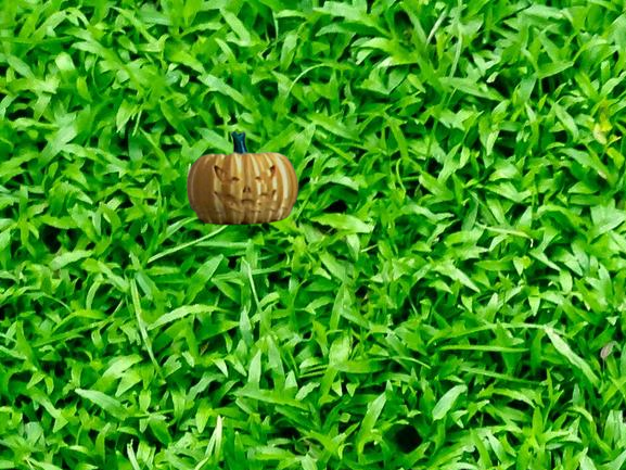 Multi Colored Pumpkin — miniatura 5