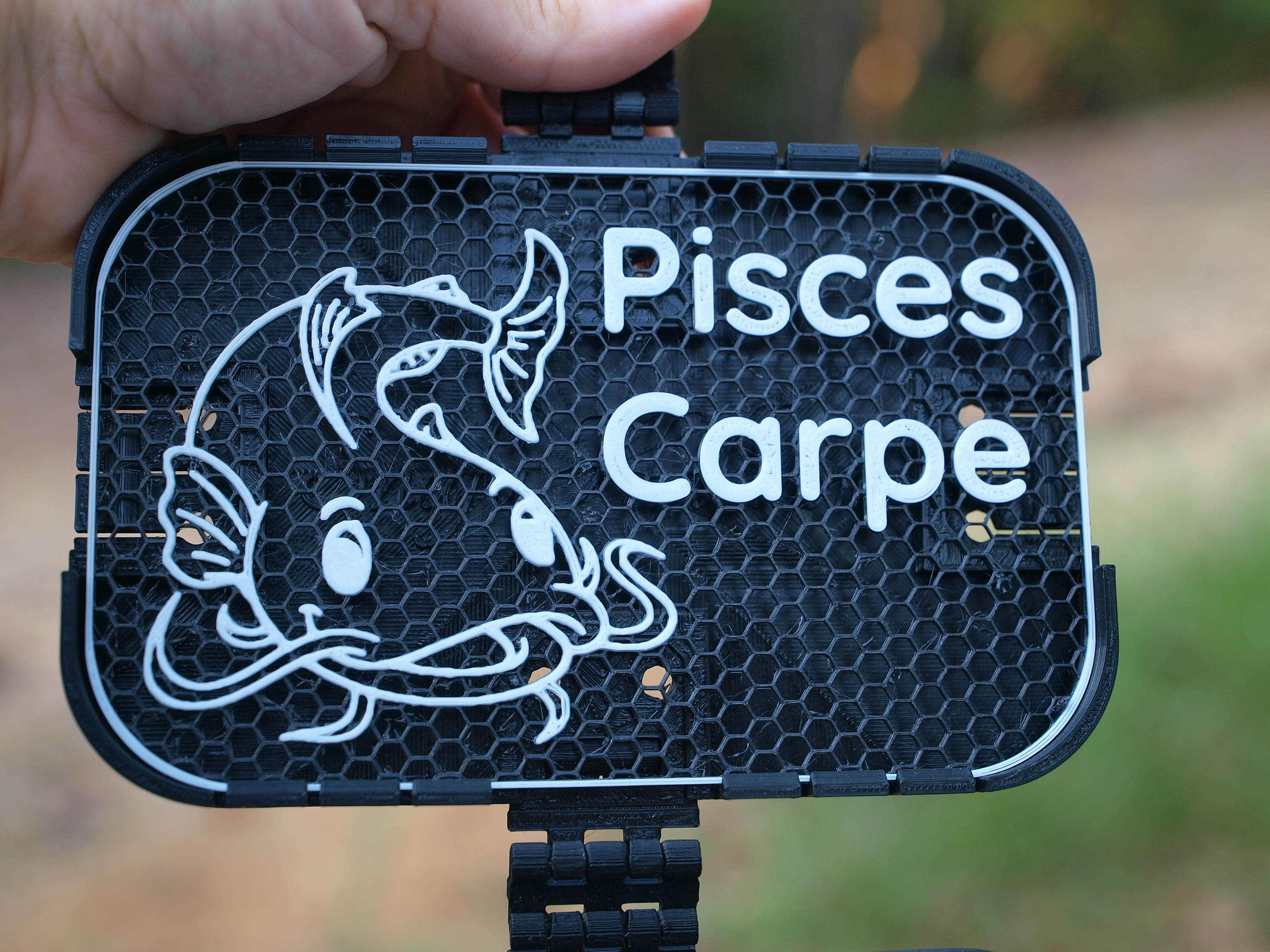 Pisces Carpe sign