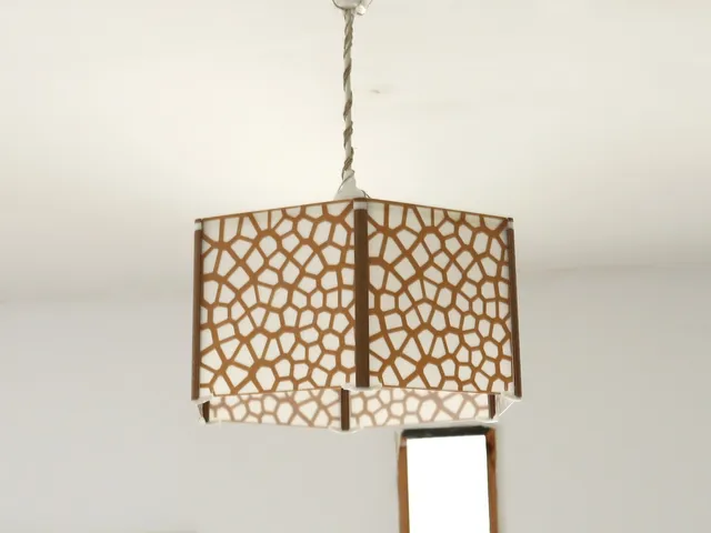 ceiling lampshade