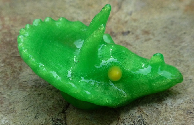 Triceratops Head and Neckerchief Woggle