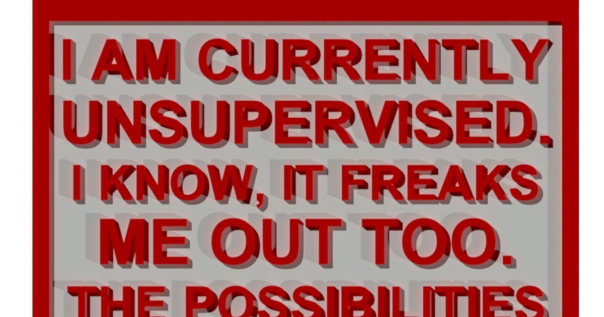 WARNING - I AM CURRENTLY UNSUPERVISED SIGN by Becker Thorne | Download ...