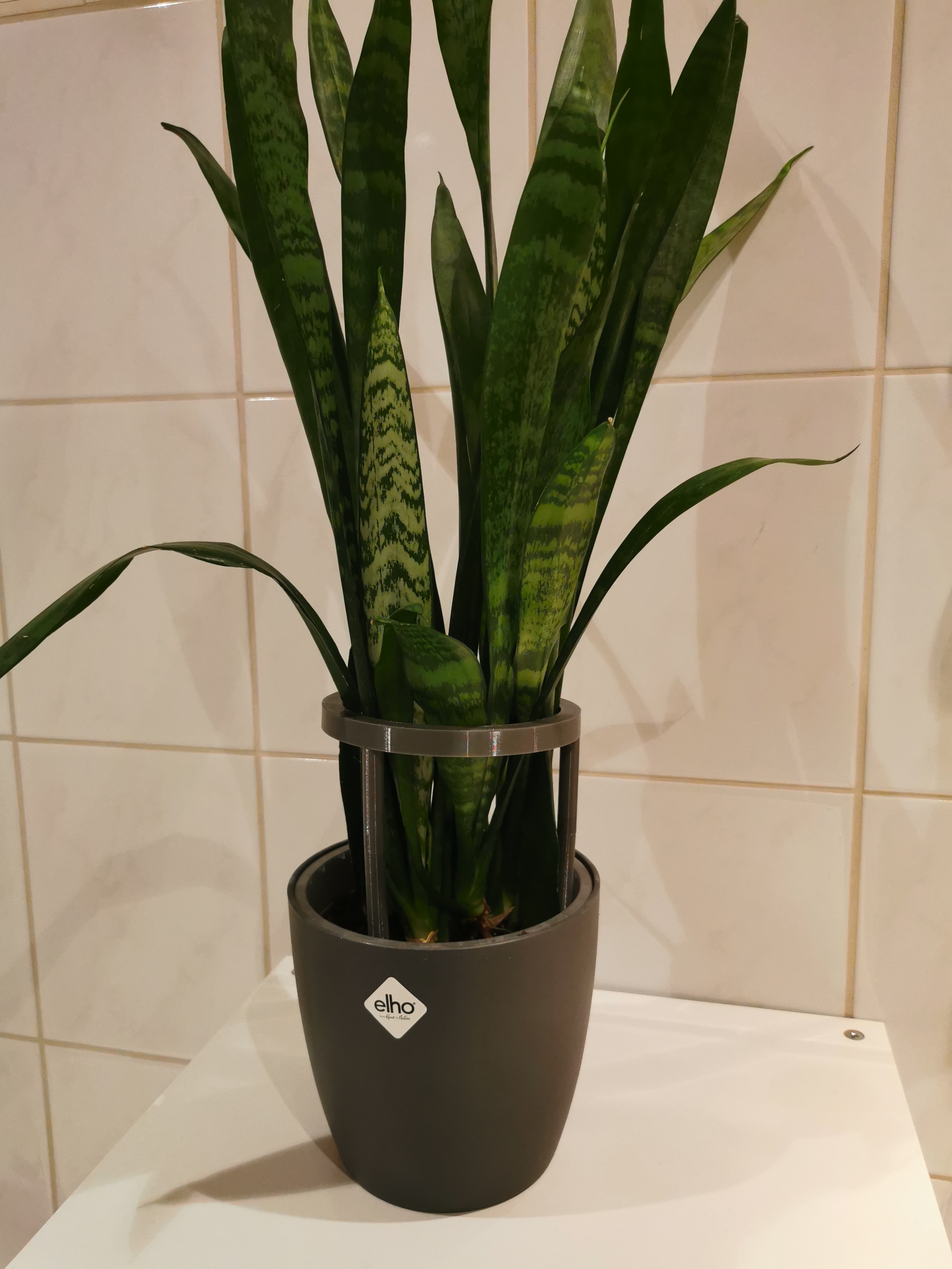 Modularer Pflanzensupport / Modular plant support / plant trellies