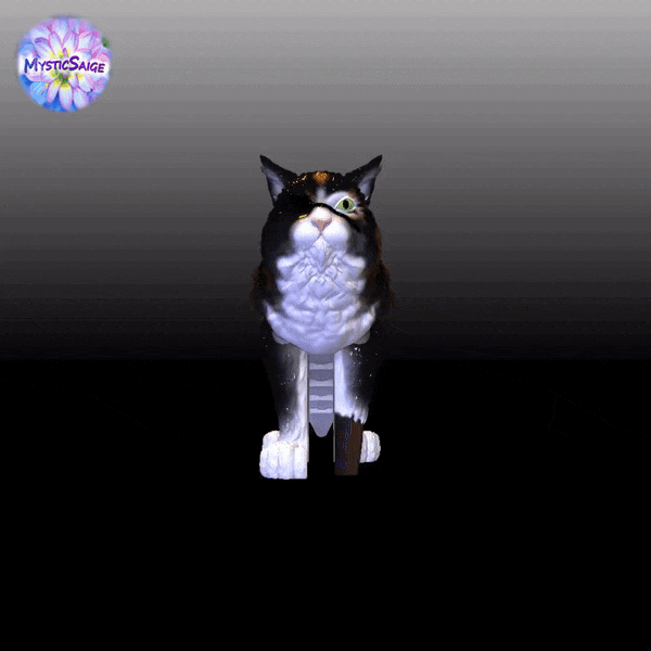Flexy Pirate Cat — thumbnail 2