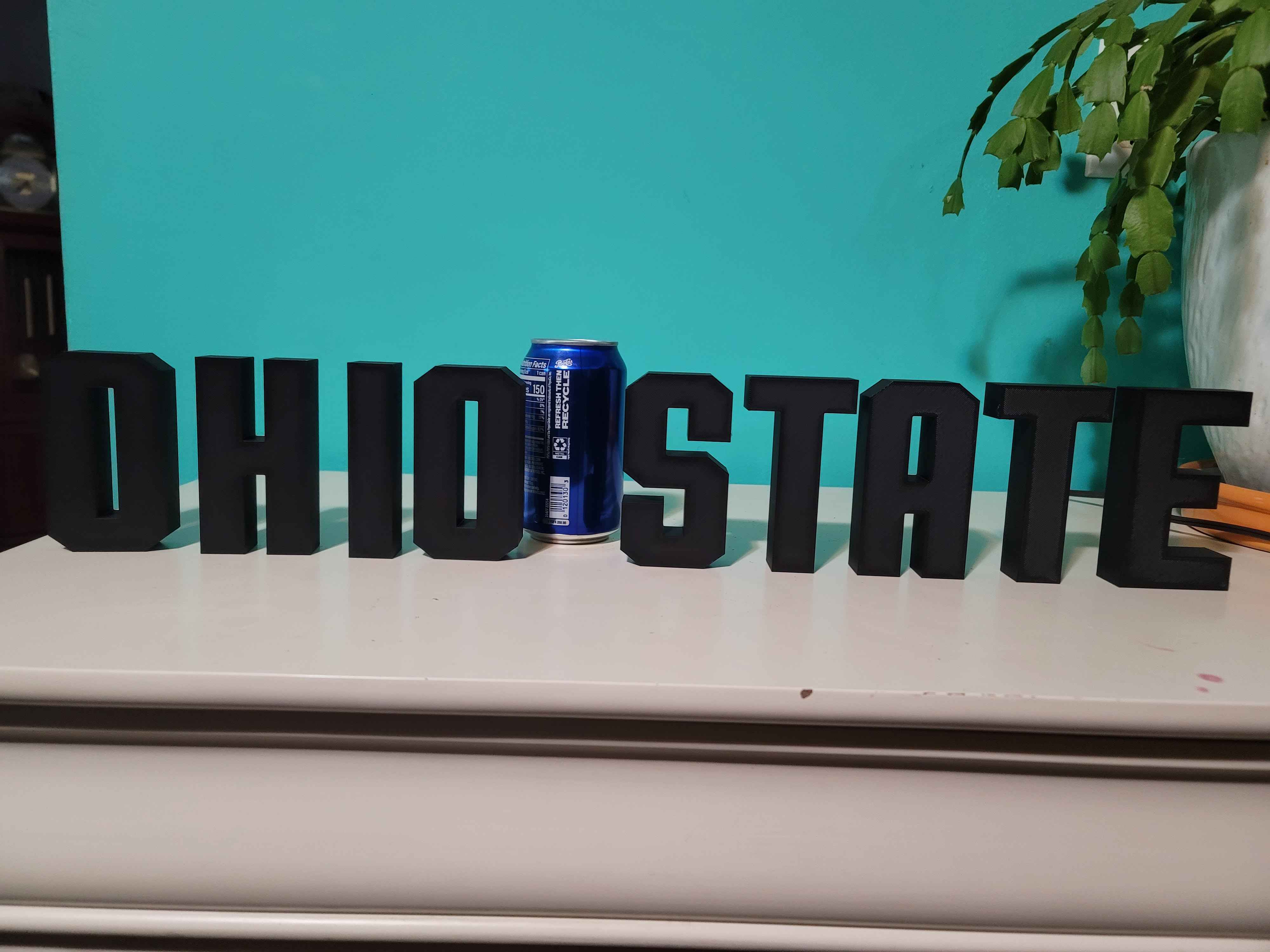 Ohio State Letters Decor