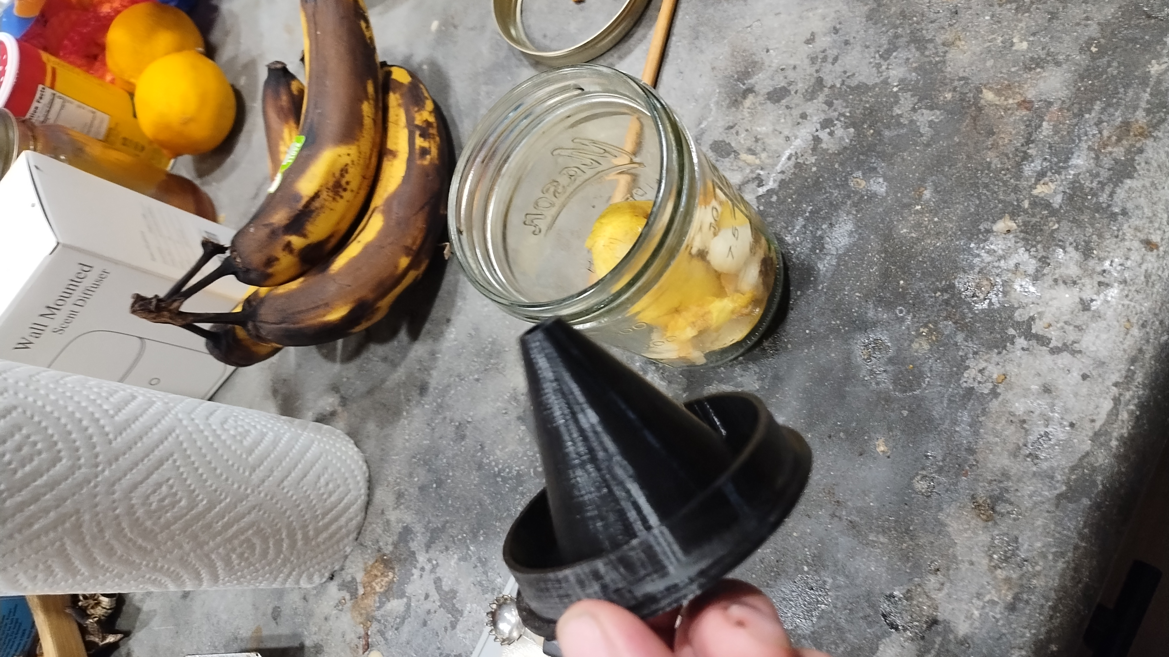 Worlds Greatest Fruit Fly Trap
