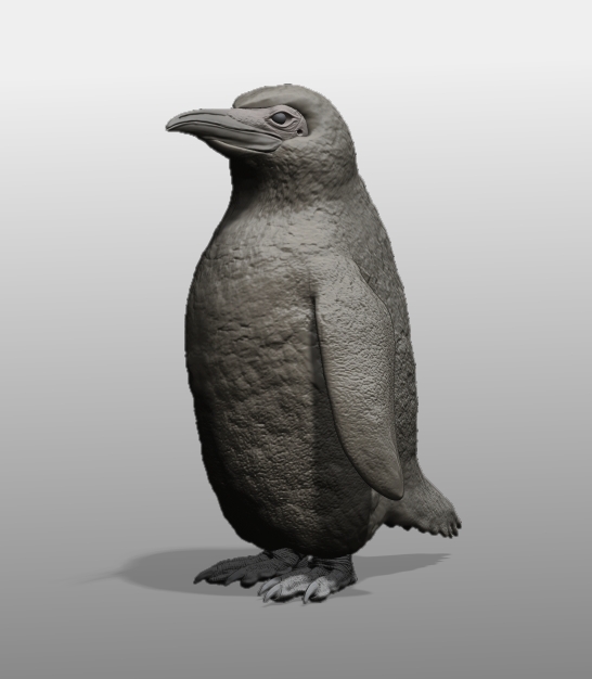 Pesto the penguin