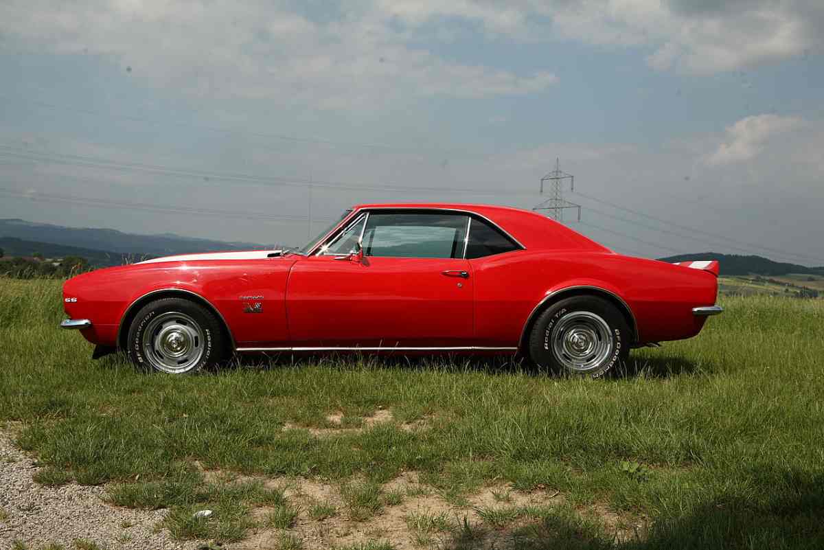Camero clay cutter