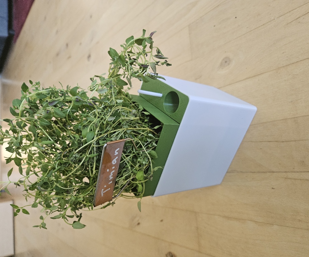 Self-watering pot with level indicator