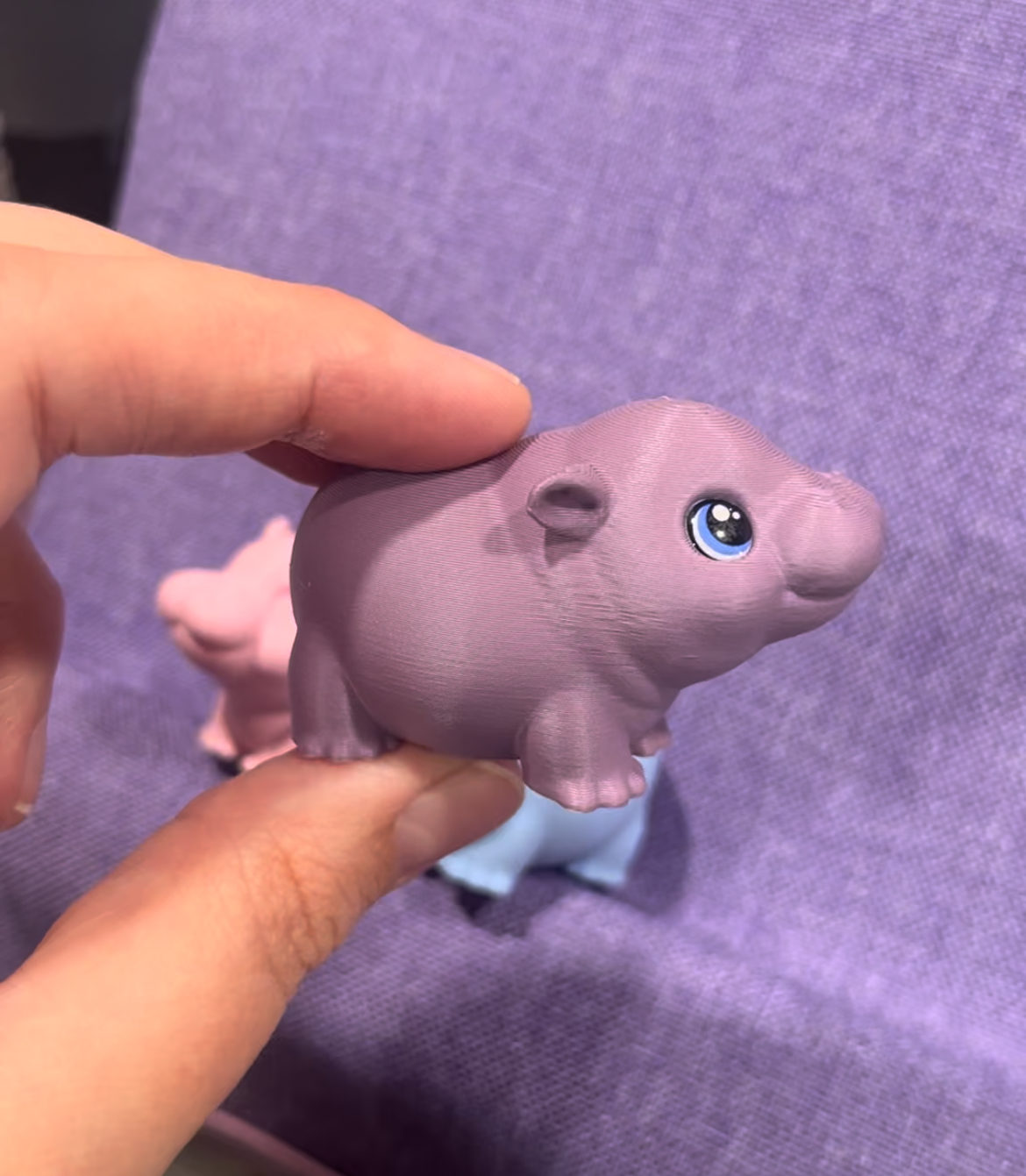 Baby Hippo