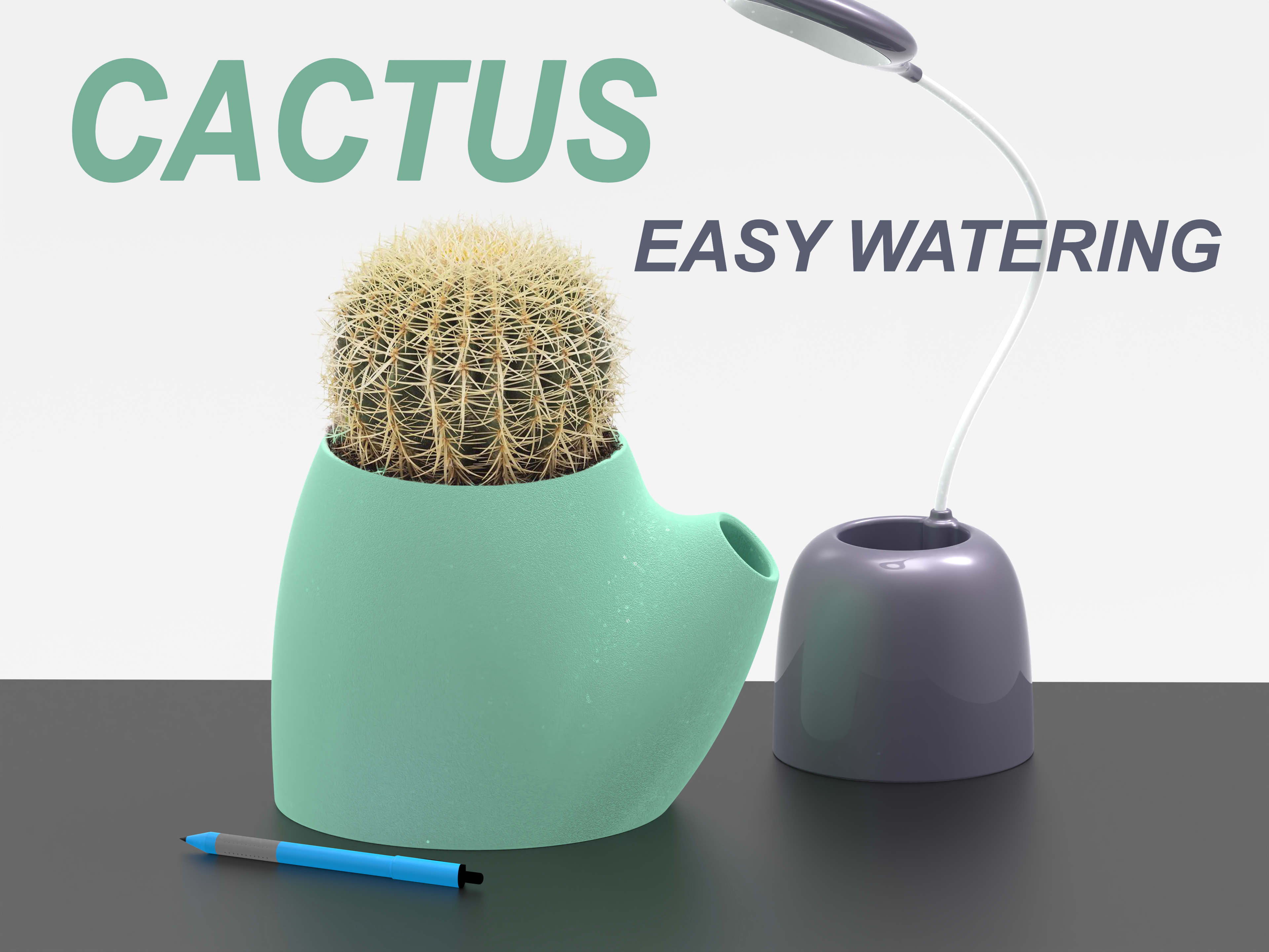 Cactus planter pot - Easy Watering flowerpot