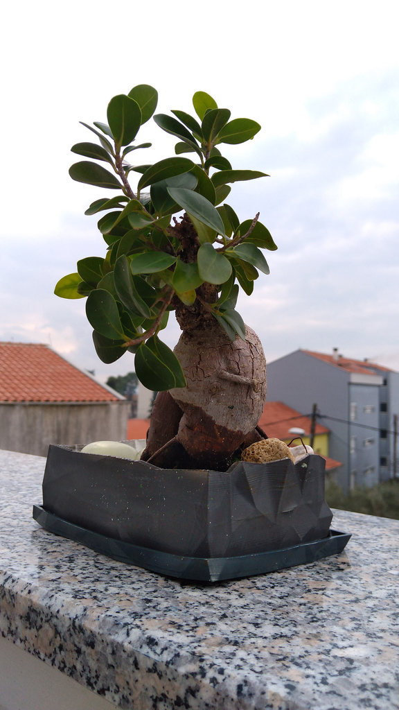 Bonsai Pot LowPoly