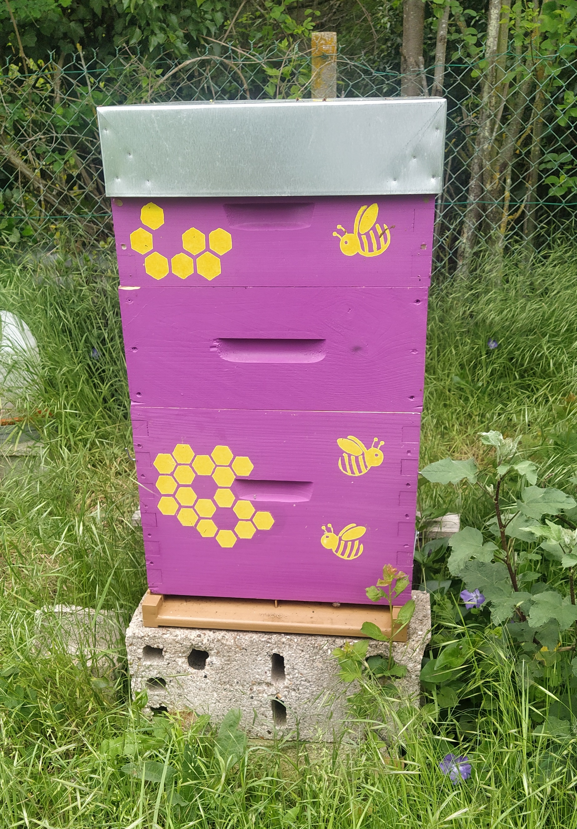 bee stencil