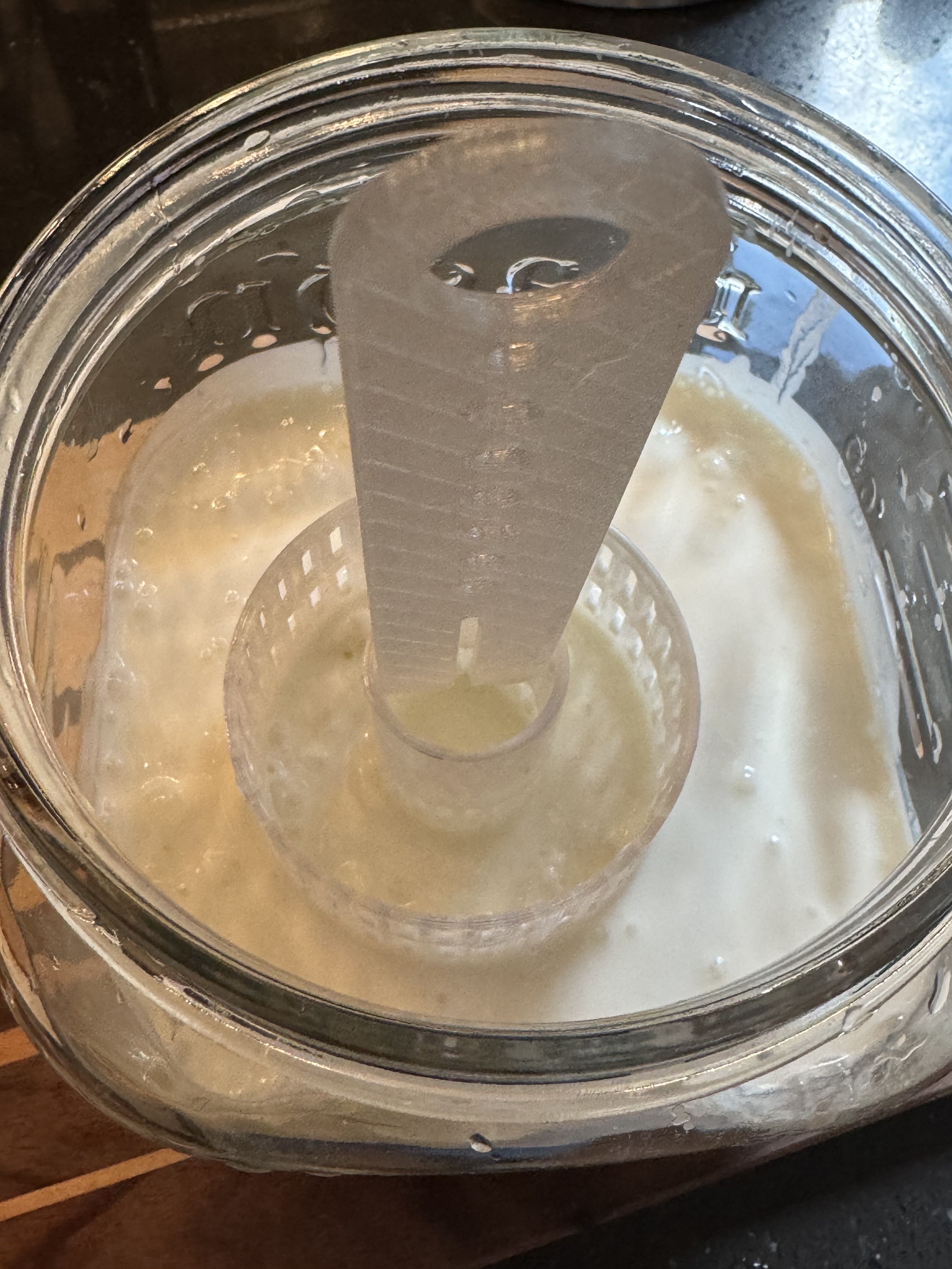 Kefir Lifter-Strainer for Mason Jars — miniatura 9