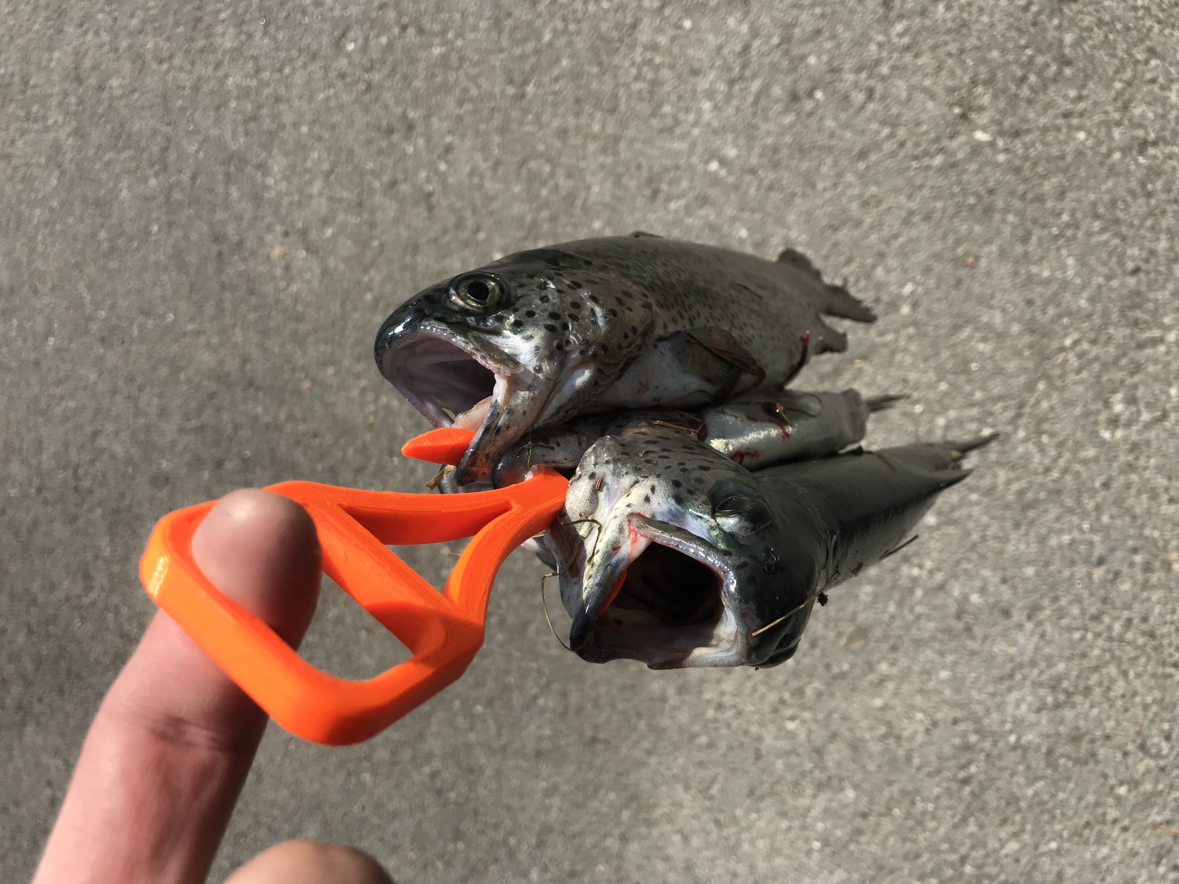 Fish Collector Hook