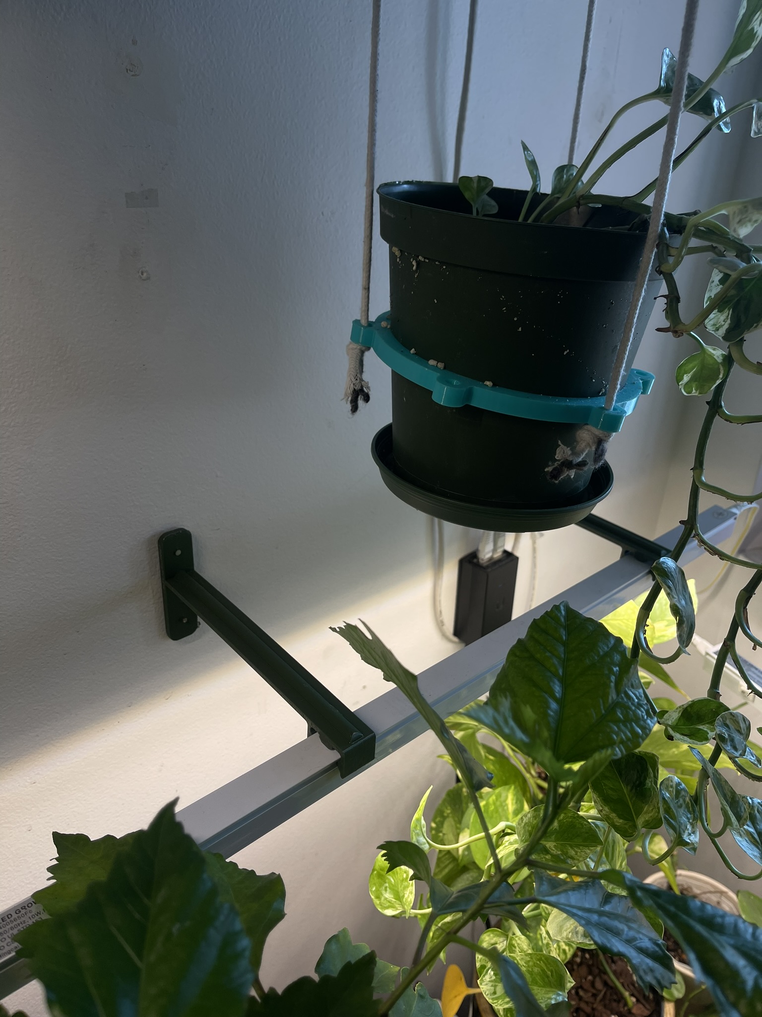 T5/grow light hanger by Ali Download free STL model