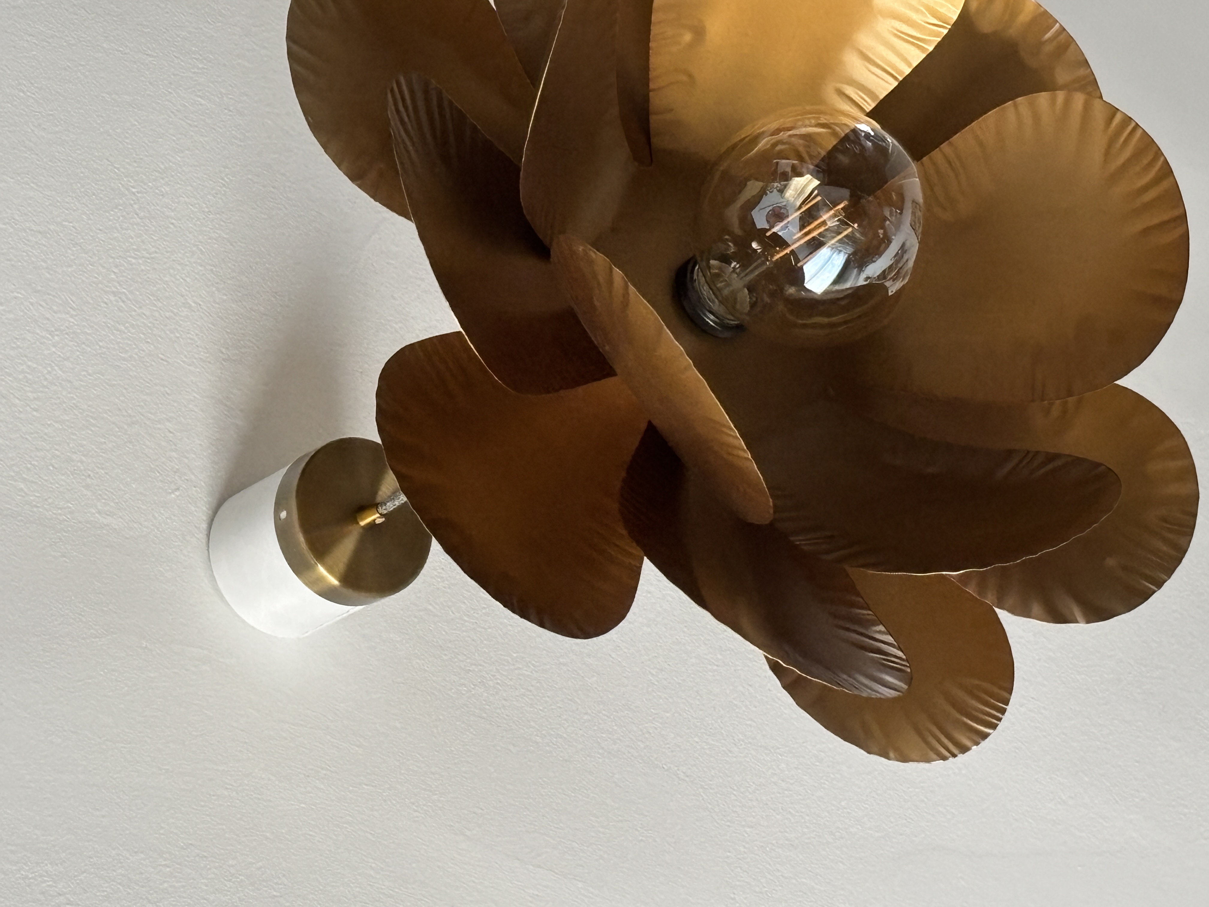 Ceiling light cover
