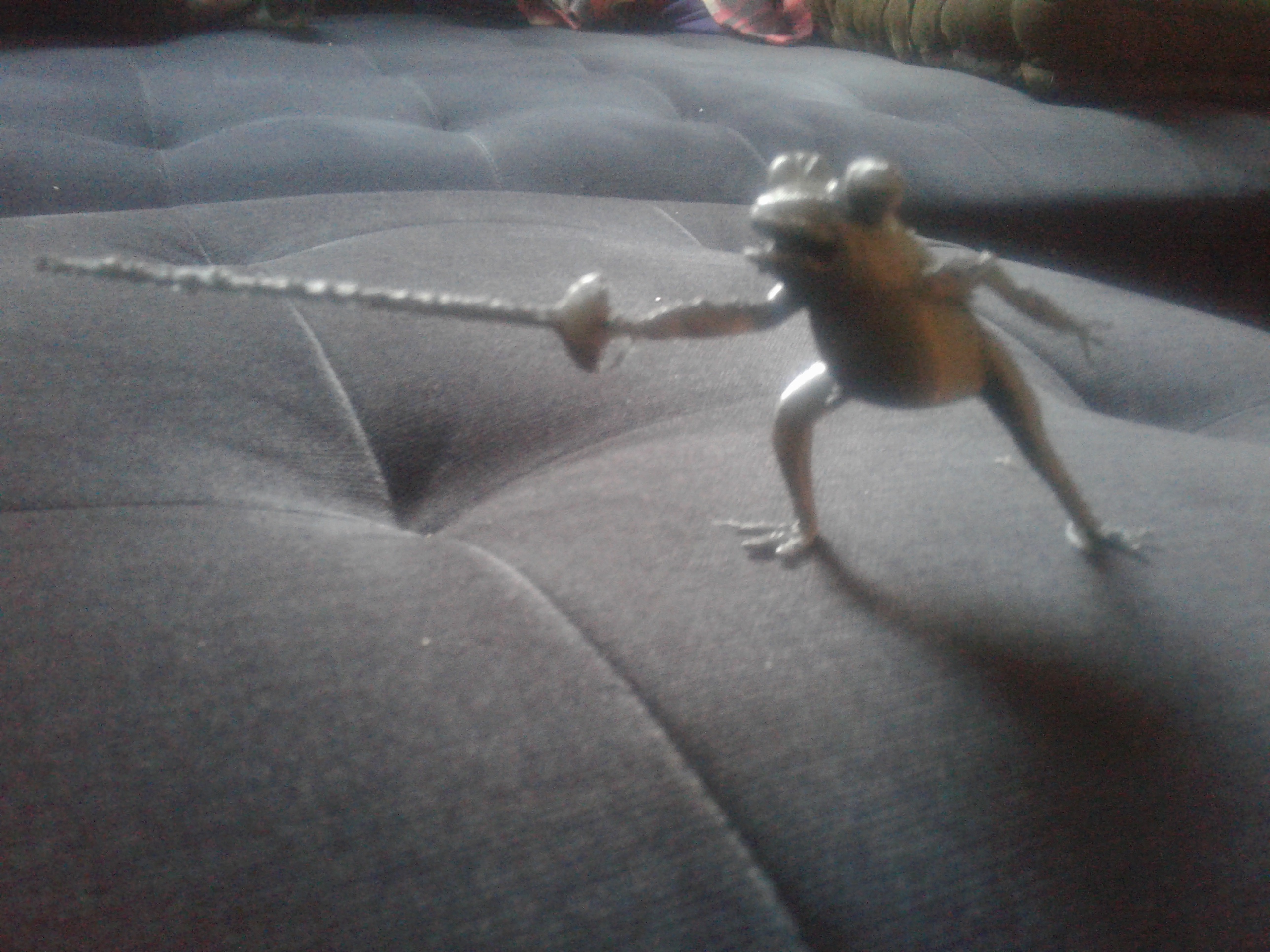 BraveToad — thumbnail 2
