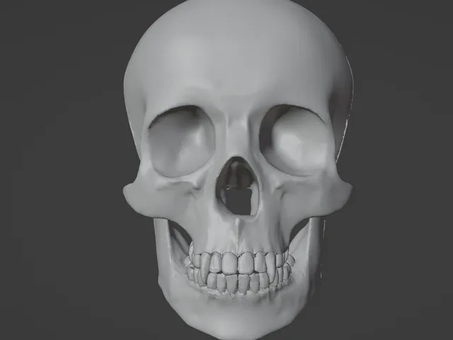 Halloween Decoration: Vampire Skull Relief