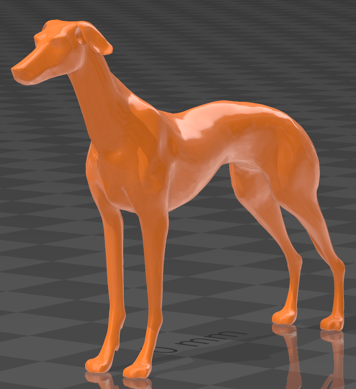 greyhound dog