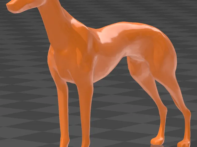 greyhound dog