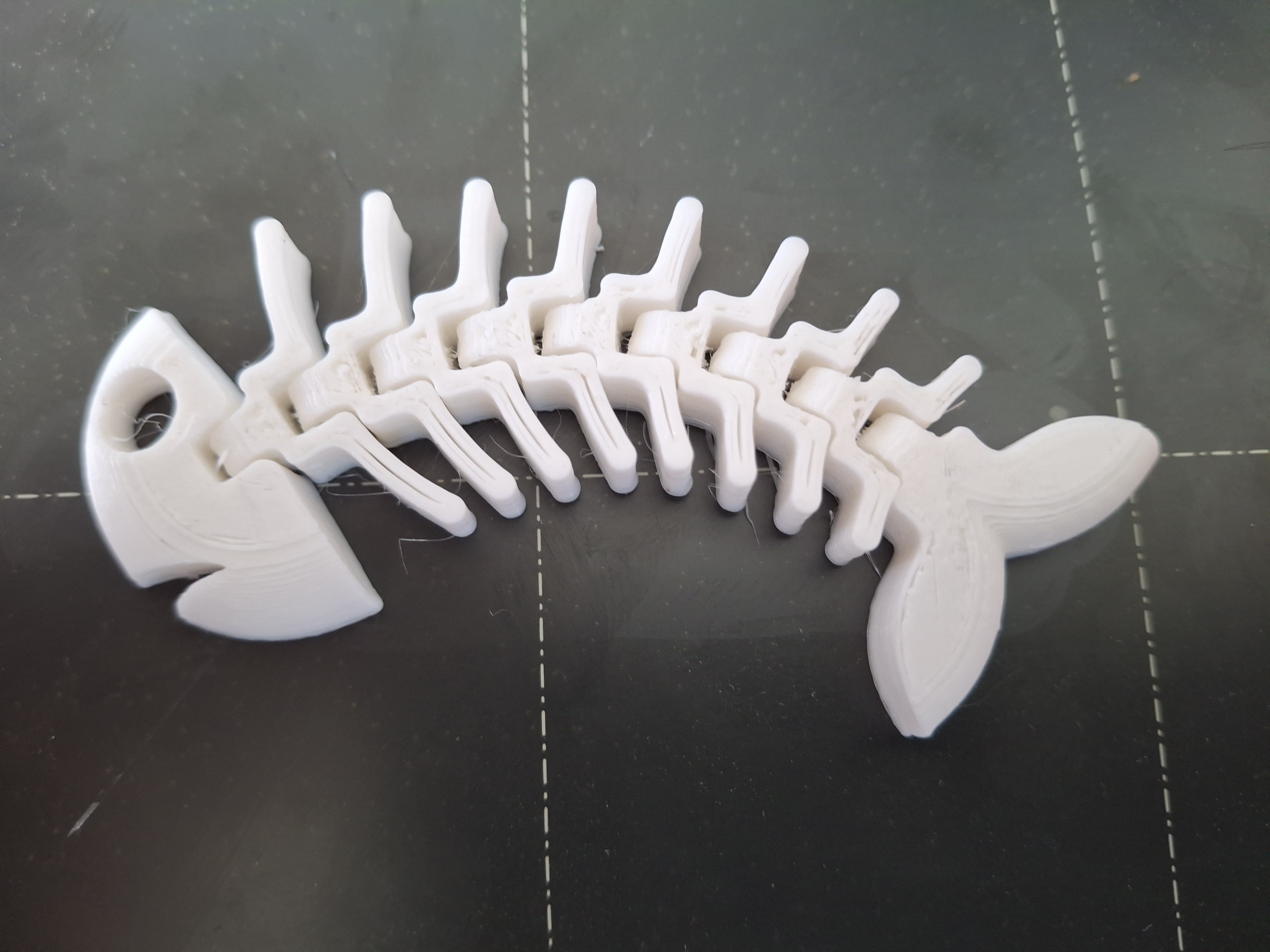 Flexi Flexy Fish — thumbnail 5