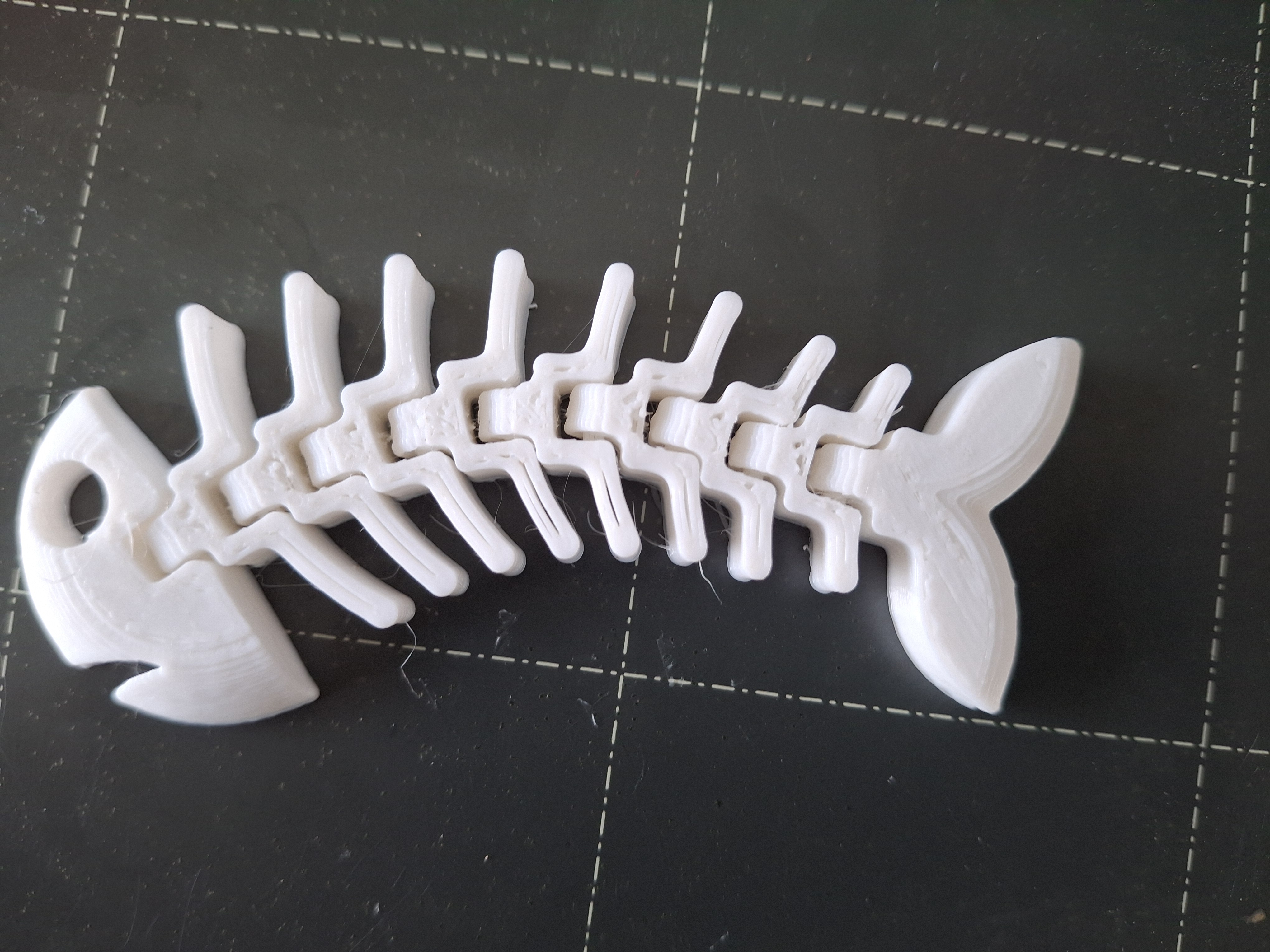 Flexi Flexy Fish — thumbnail 6