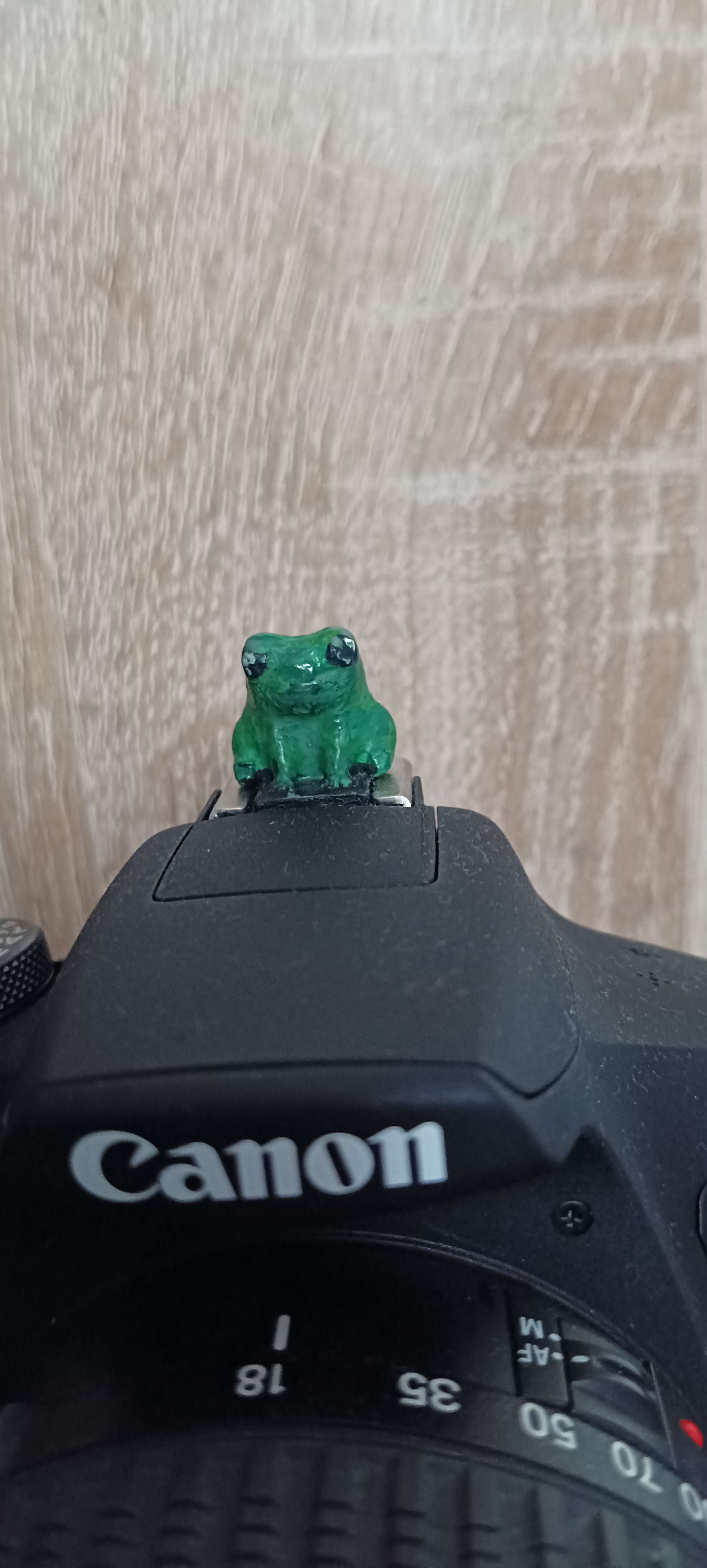 Cannon frog by eli ka hekov download free stl model printables