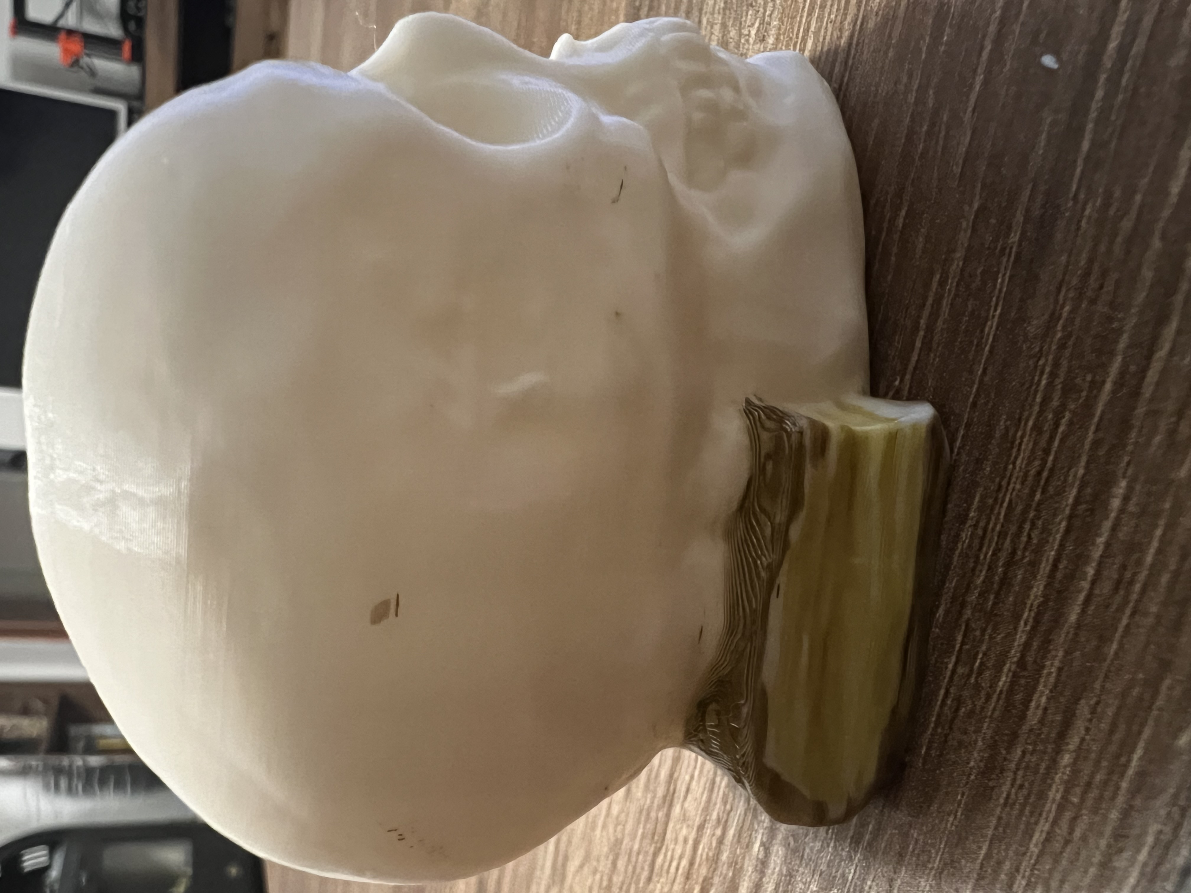 Lebka - Skull — thumbnail 3