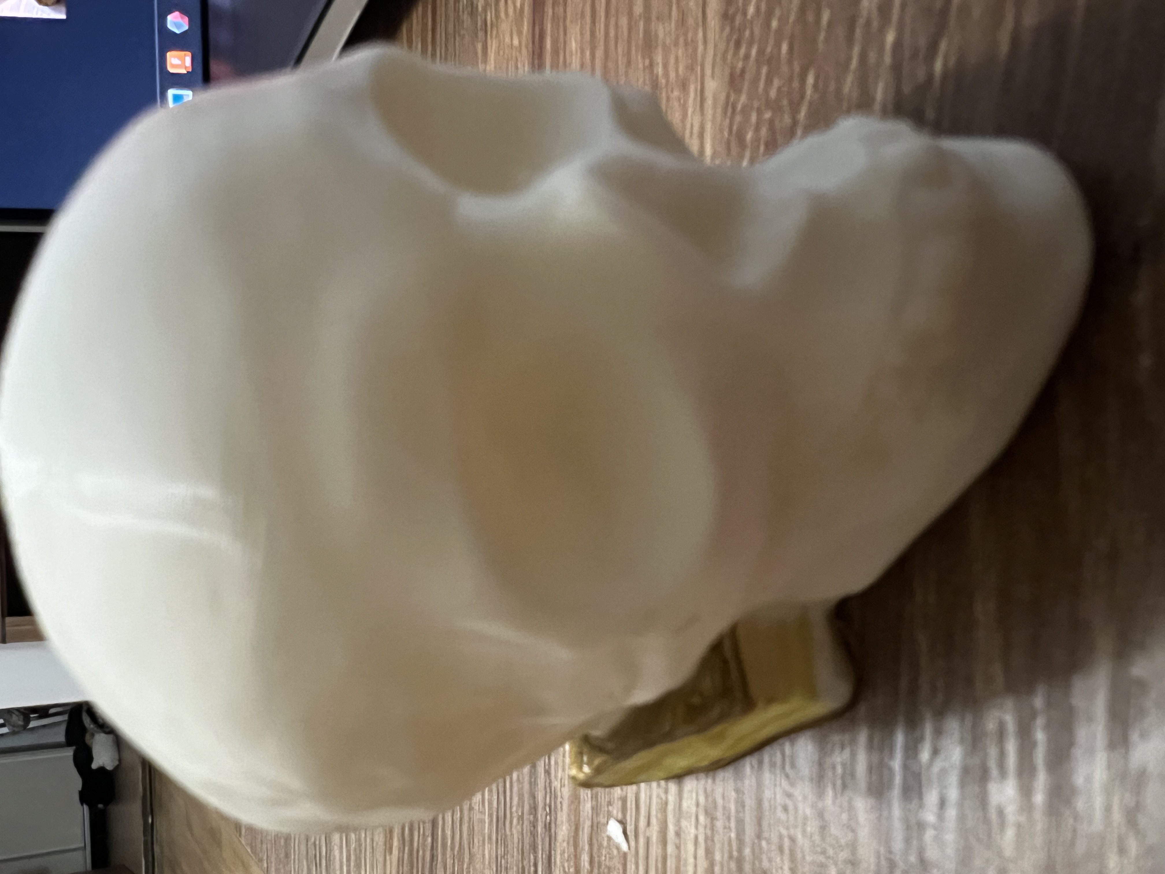 Lebka - Skull — thumbnail 5