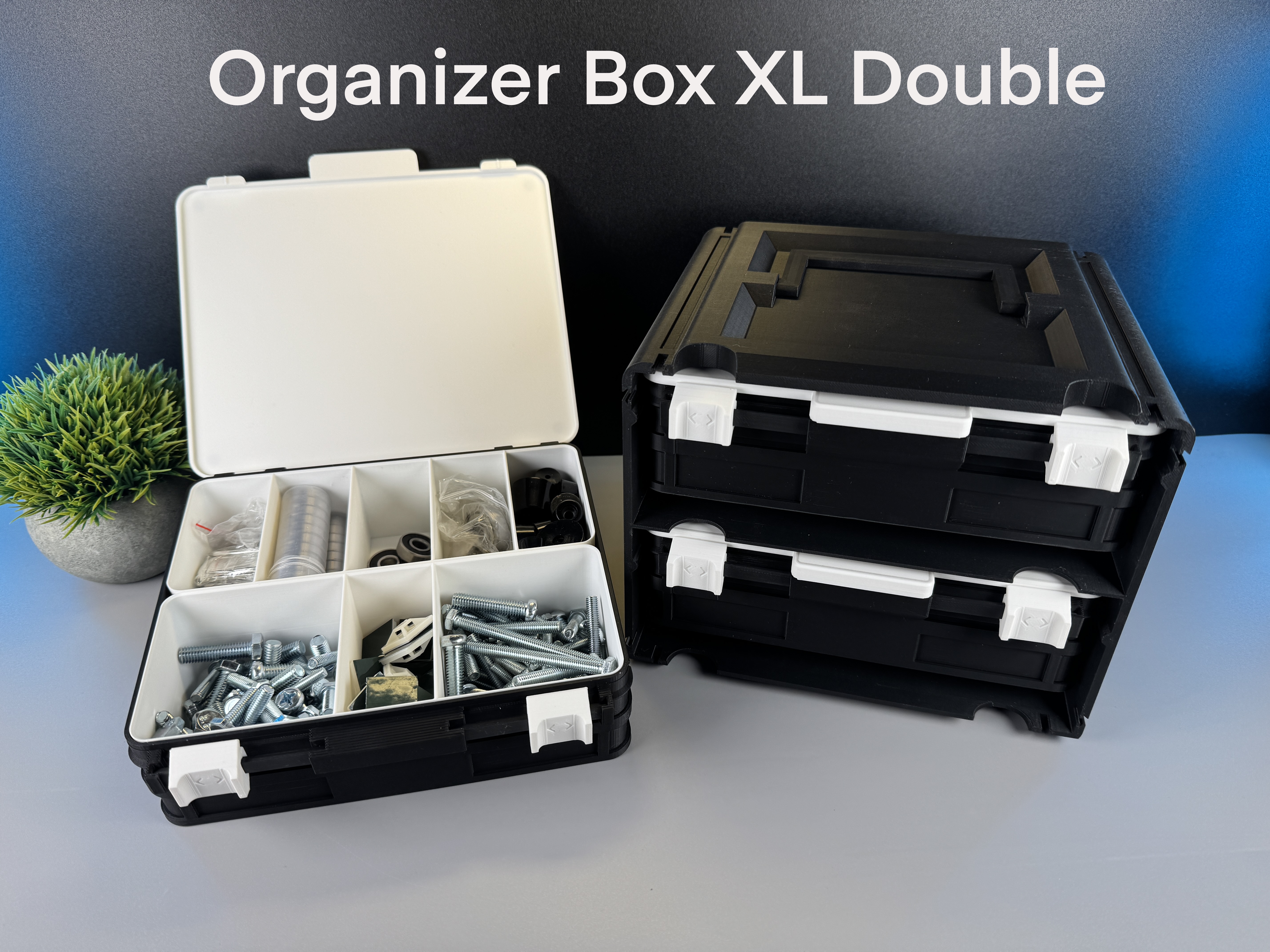 Organizer Box XL Double