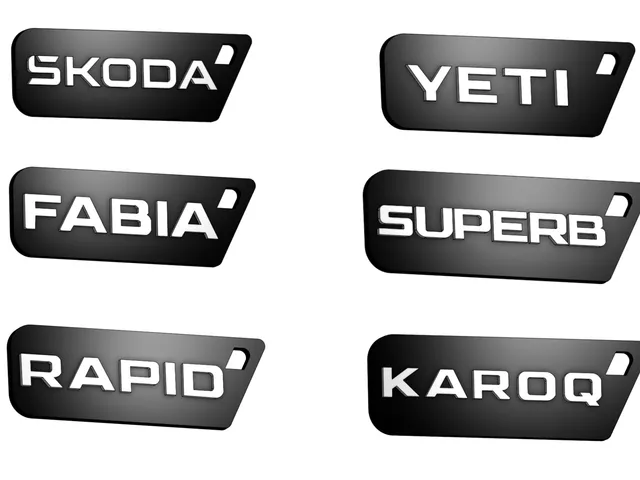 Skoda Keychains