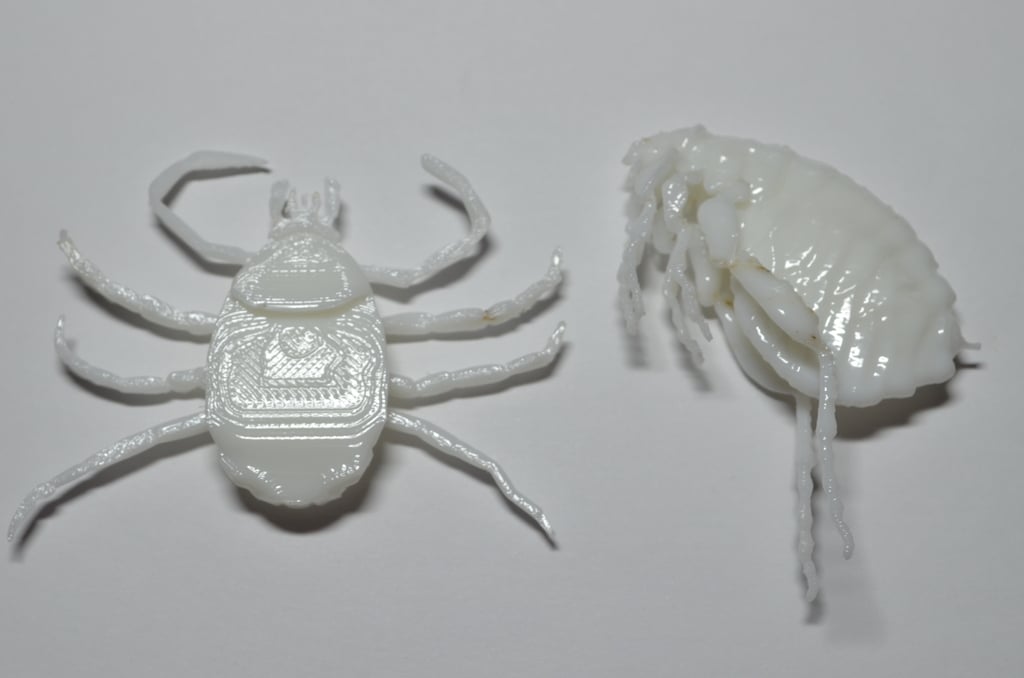 insects remix Flea (Circus play-set)+dog tick