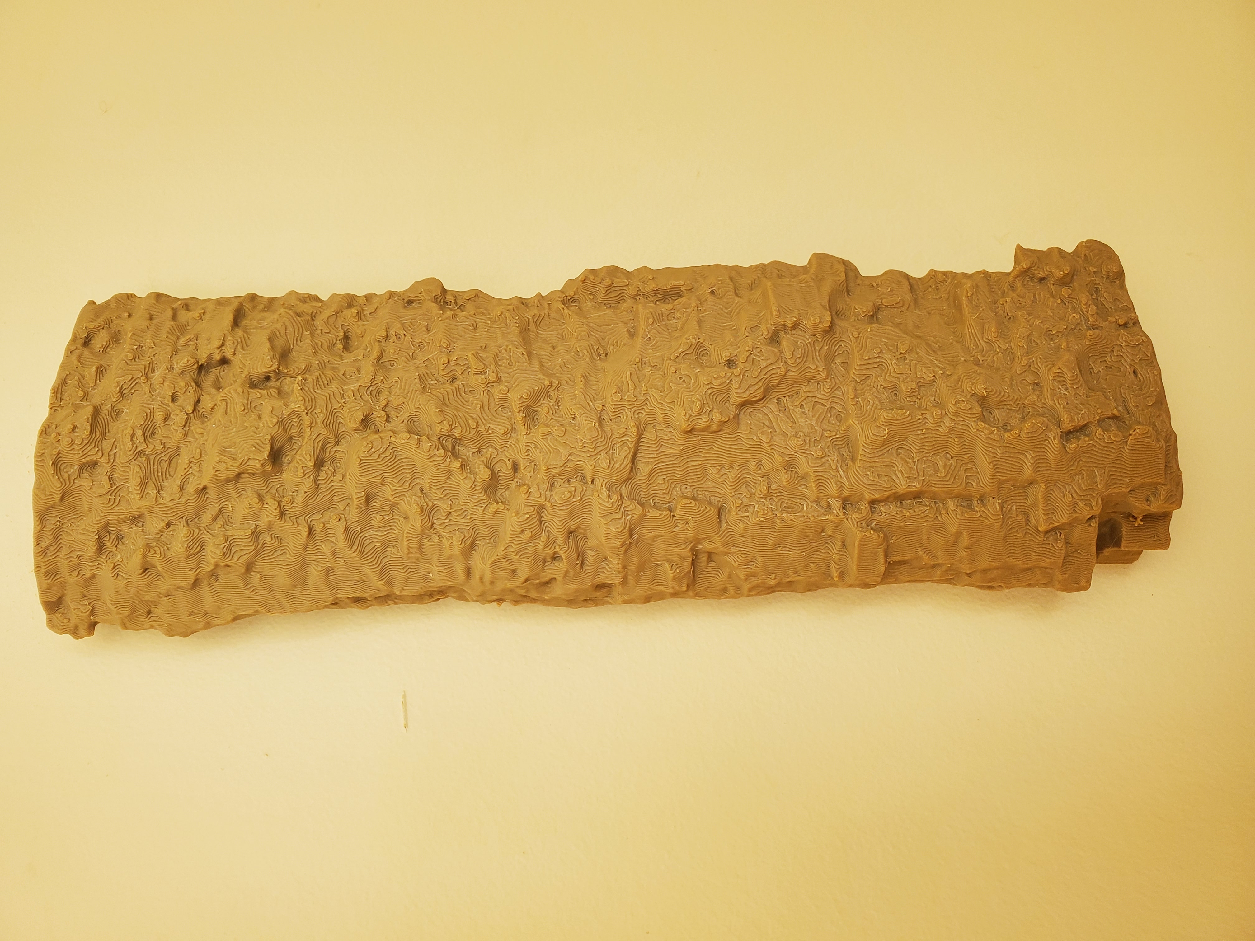 Wall mounted tree trunk back scratcher.