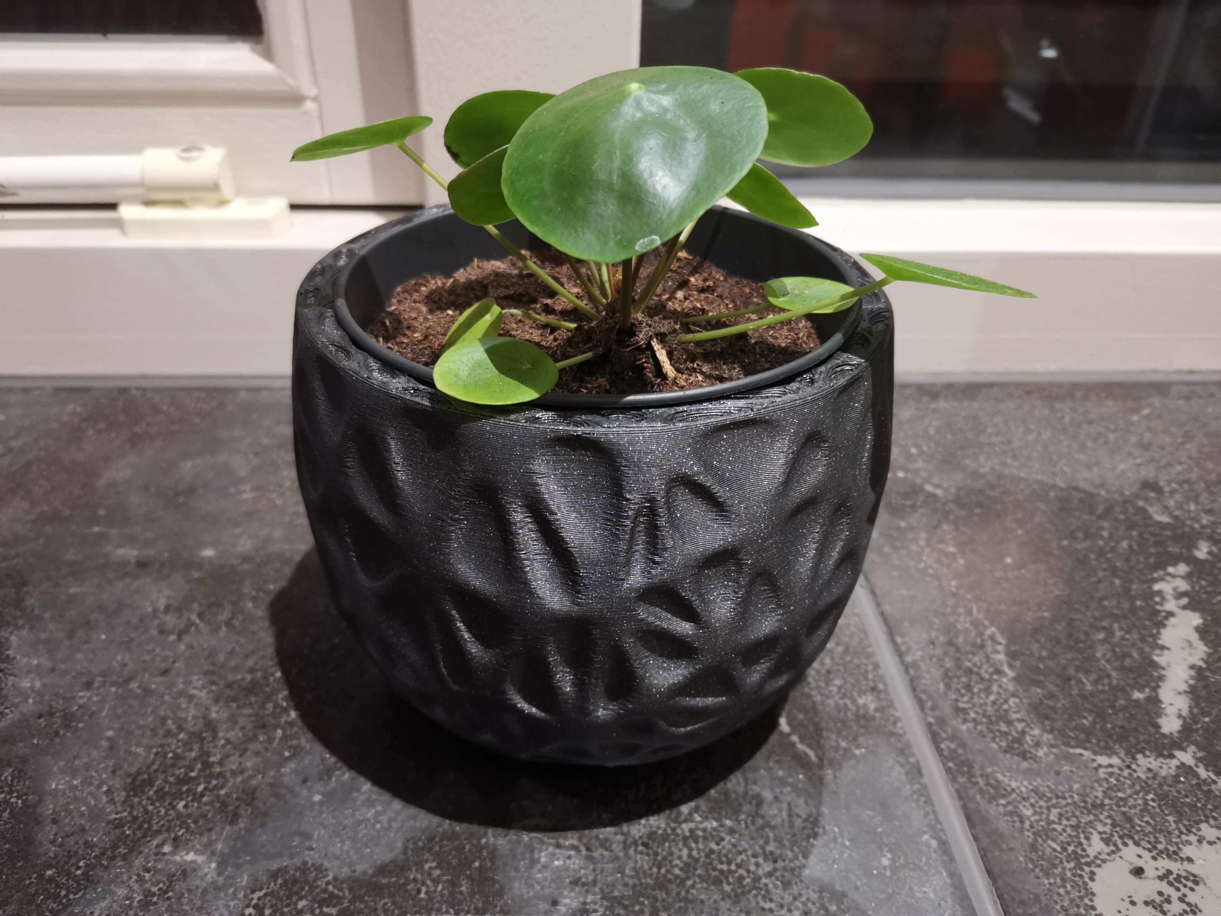 Organic plant pot — miniatura 2